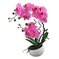 Umělé orchideje