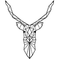 Zvířata