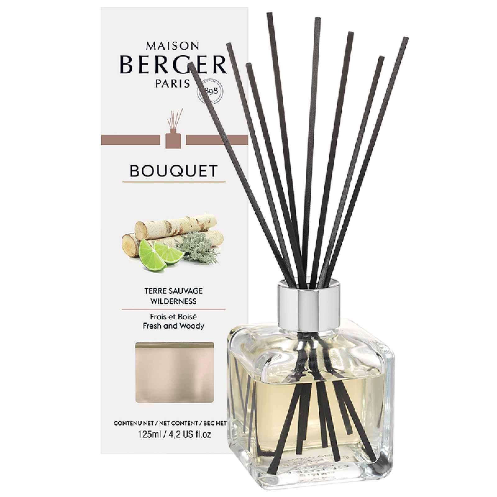 Maison Berger Paris aroma difuzér Cube, Divočina 125 ml