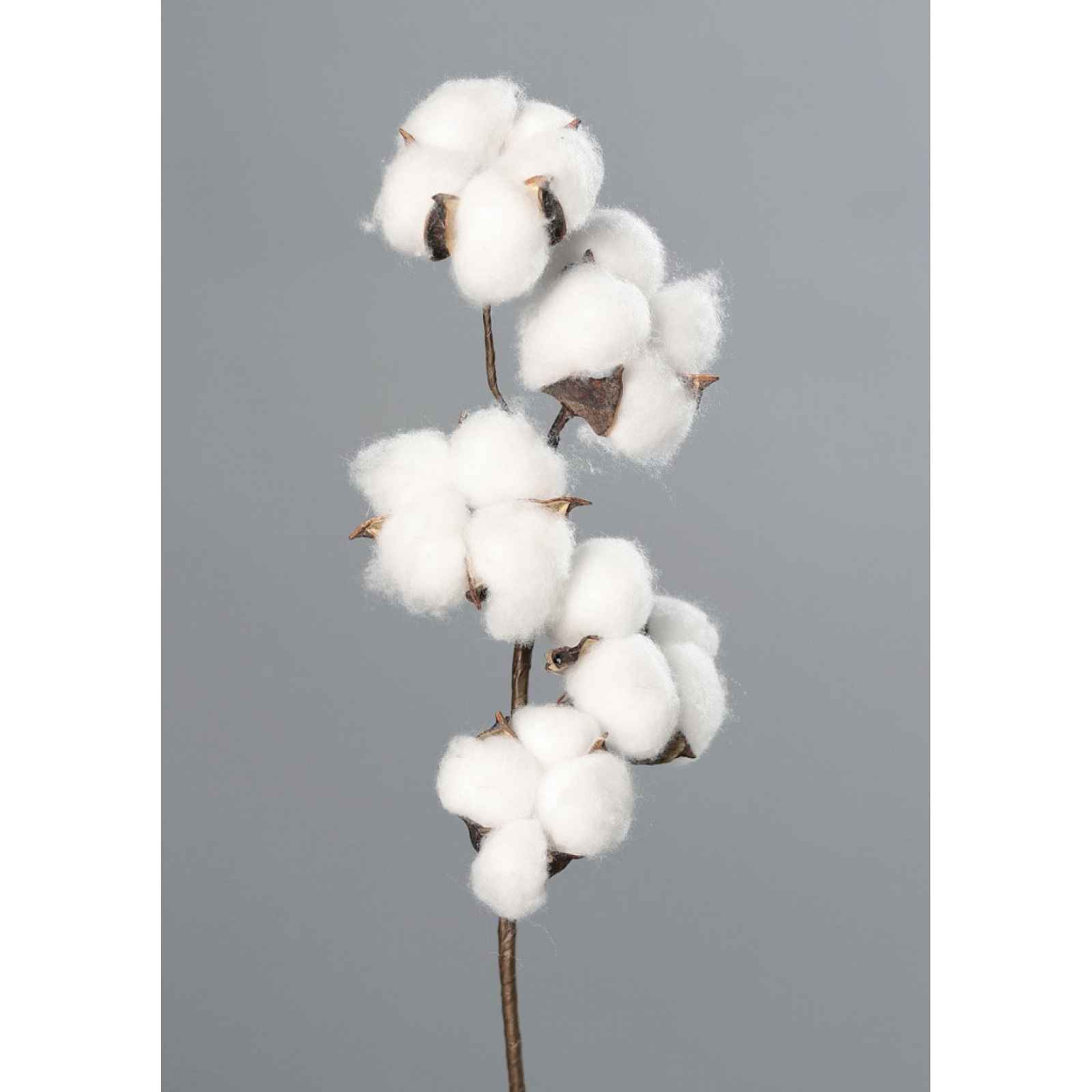 Umělá květina Bavlník 49 cm, bílá