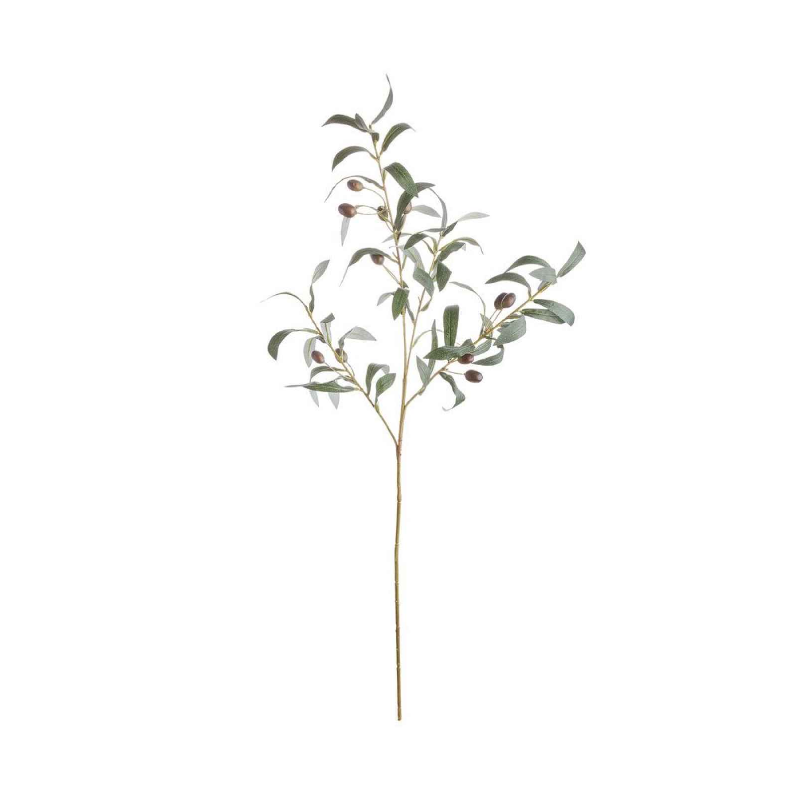 Butlers FLORISTA Větvička olivovníku 75 cm