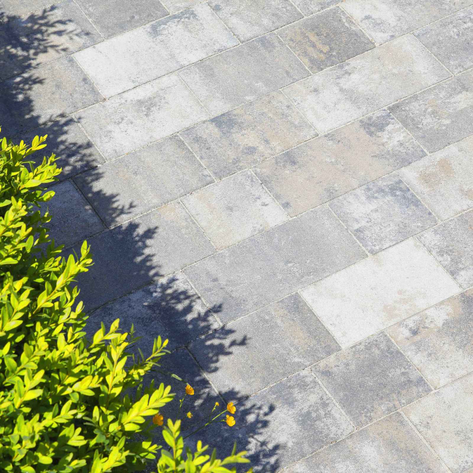 Dlažba betonová BEST BELISIMA standard arabica výška 80 mm