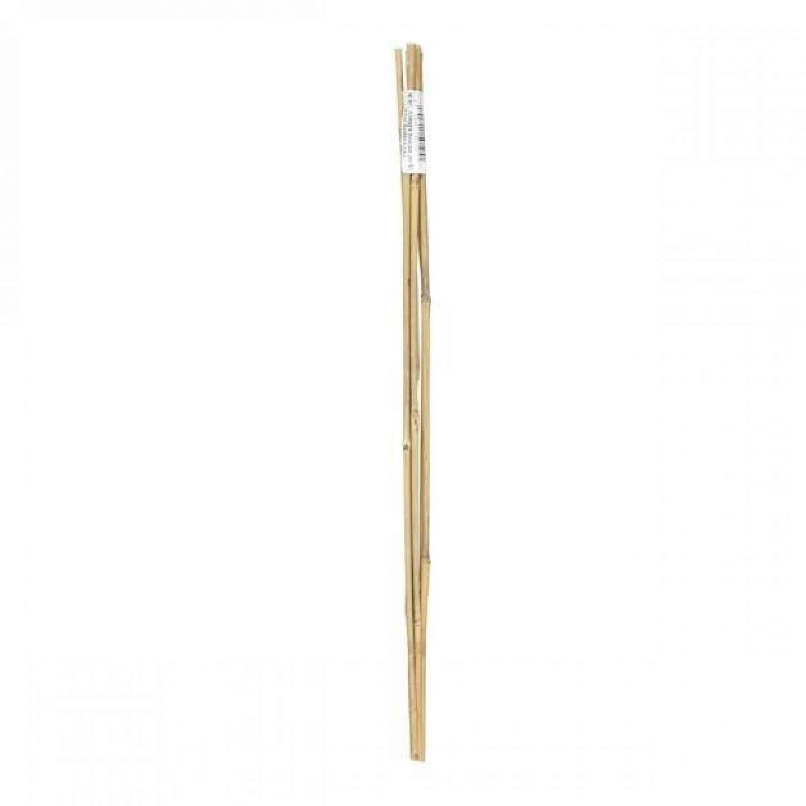 Tyč bambusová 60 cm