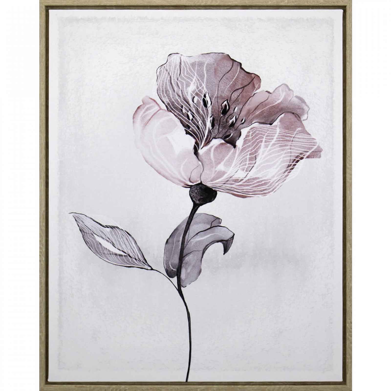 XXXLutz UMĚLECKÝ TISK, květiny, 40/50 cm Monee - 0089580300