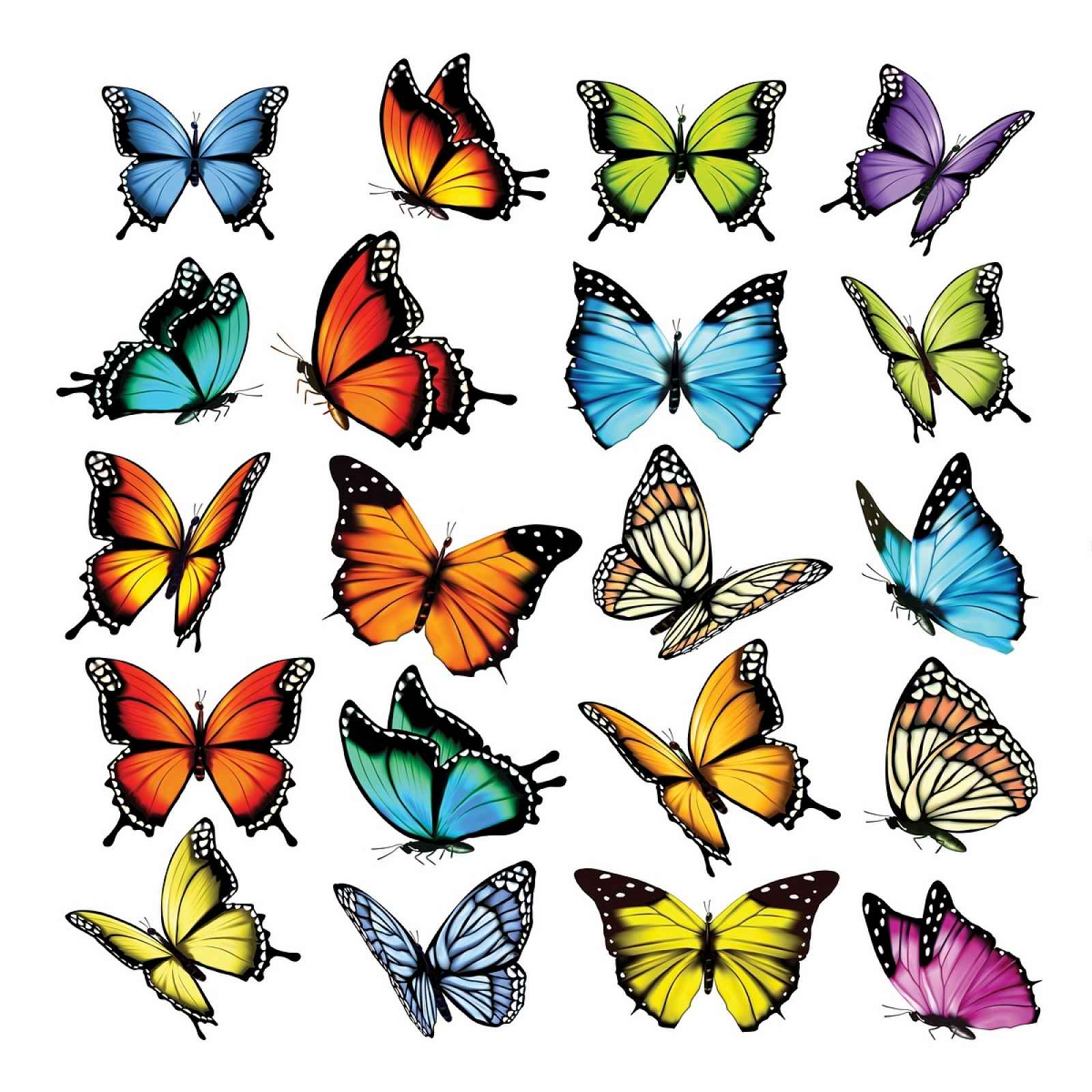 Samolepící dekorace Butterflies, 30 x 30 cm