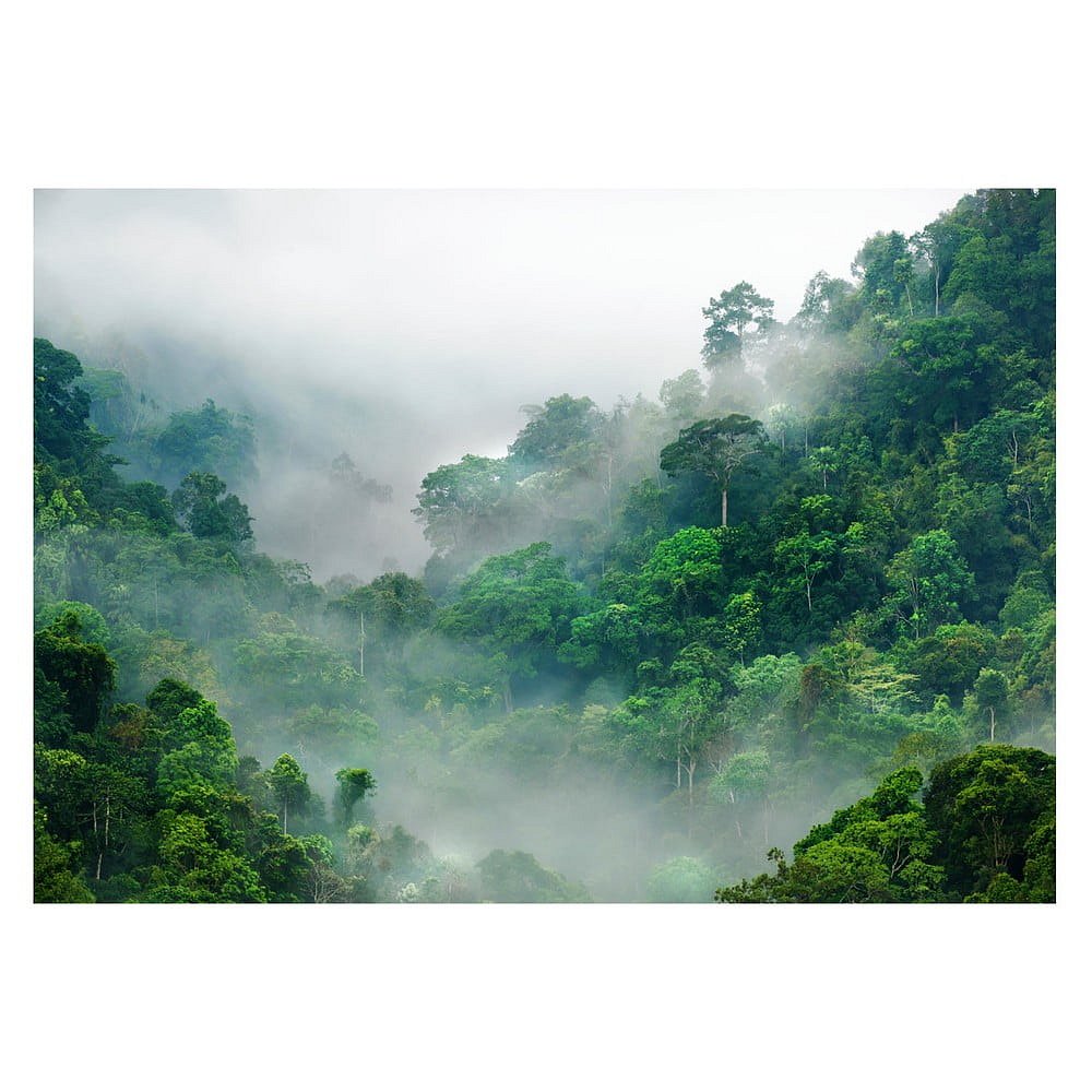 Velkoformátová tapeta Bimago Morning Fog, 400 x 280 cm