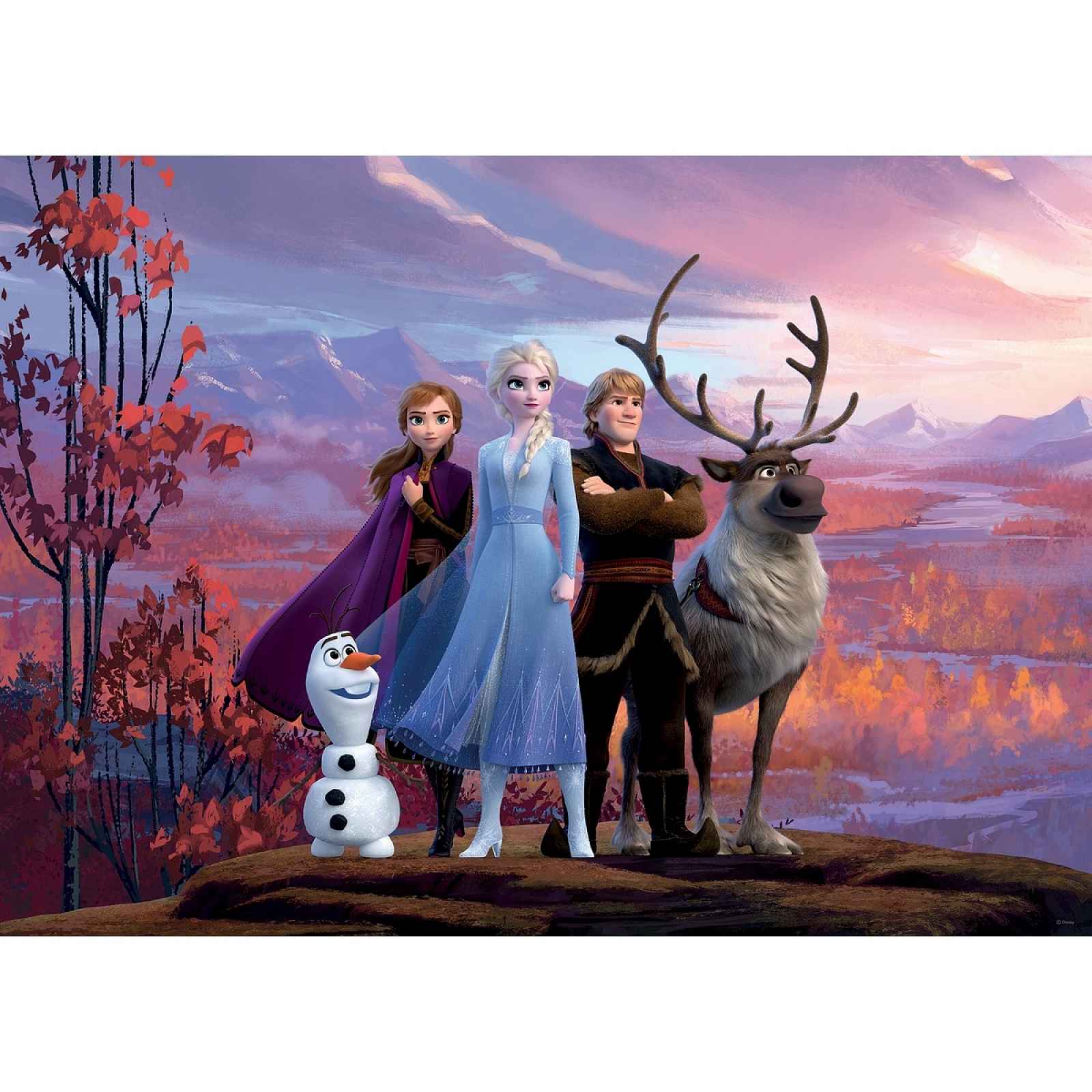 Dětská fototapeta Frozen 2, 156 x 112