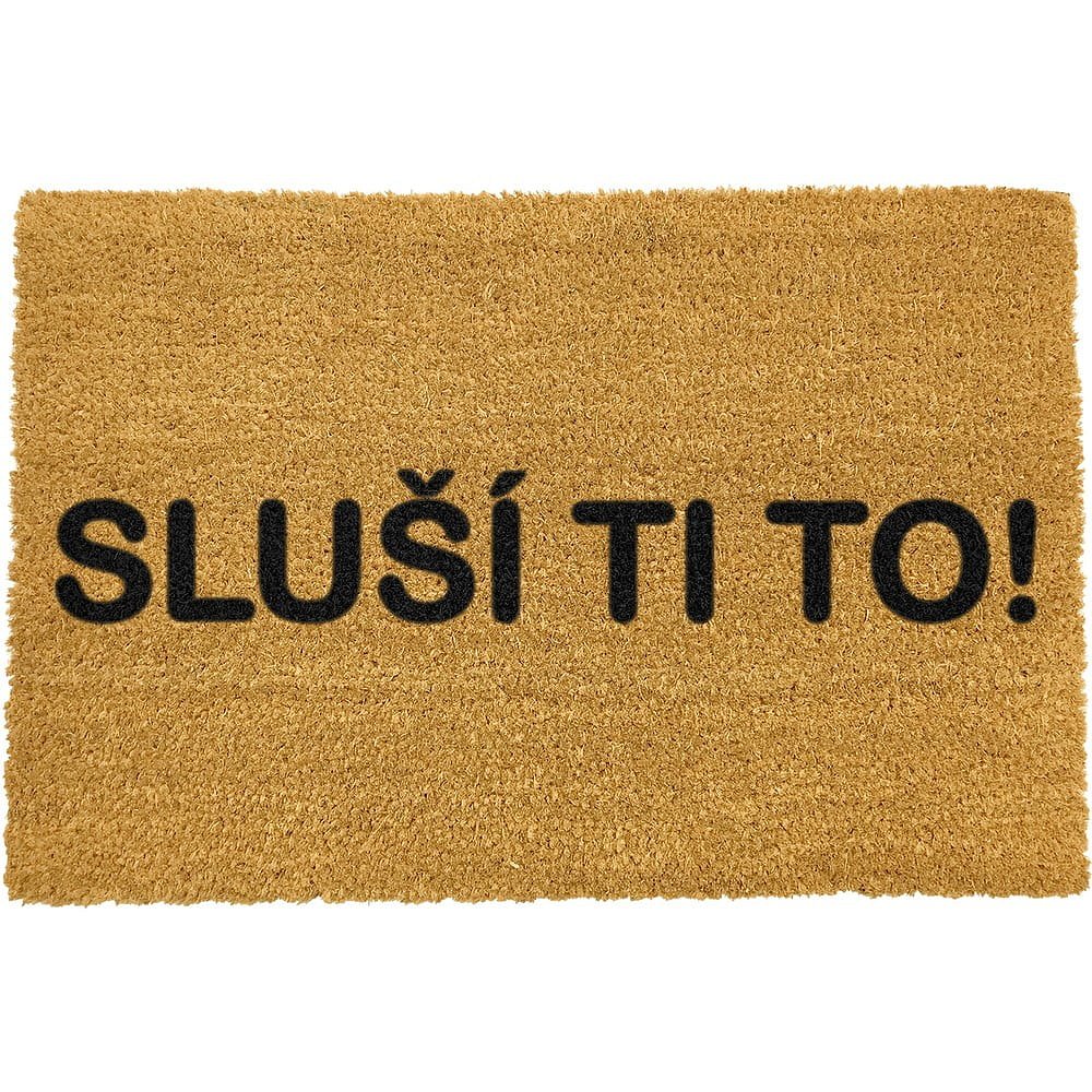 Rohožka z přírodního kokosového vlákna Artsy Doormats Sluší ti to!, 40  x  60 cm