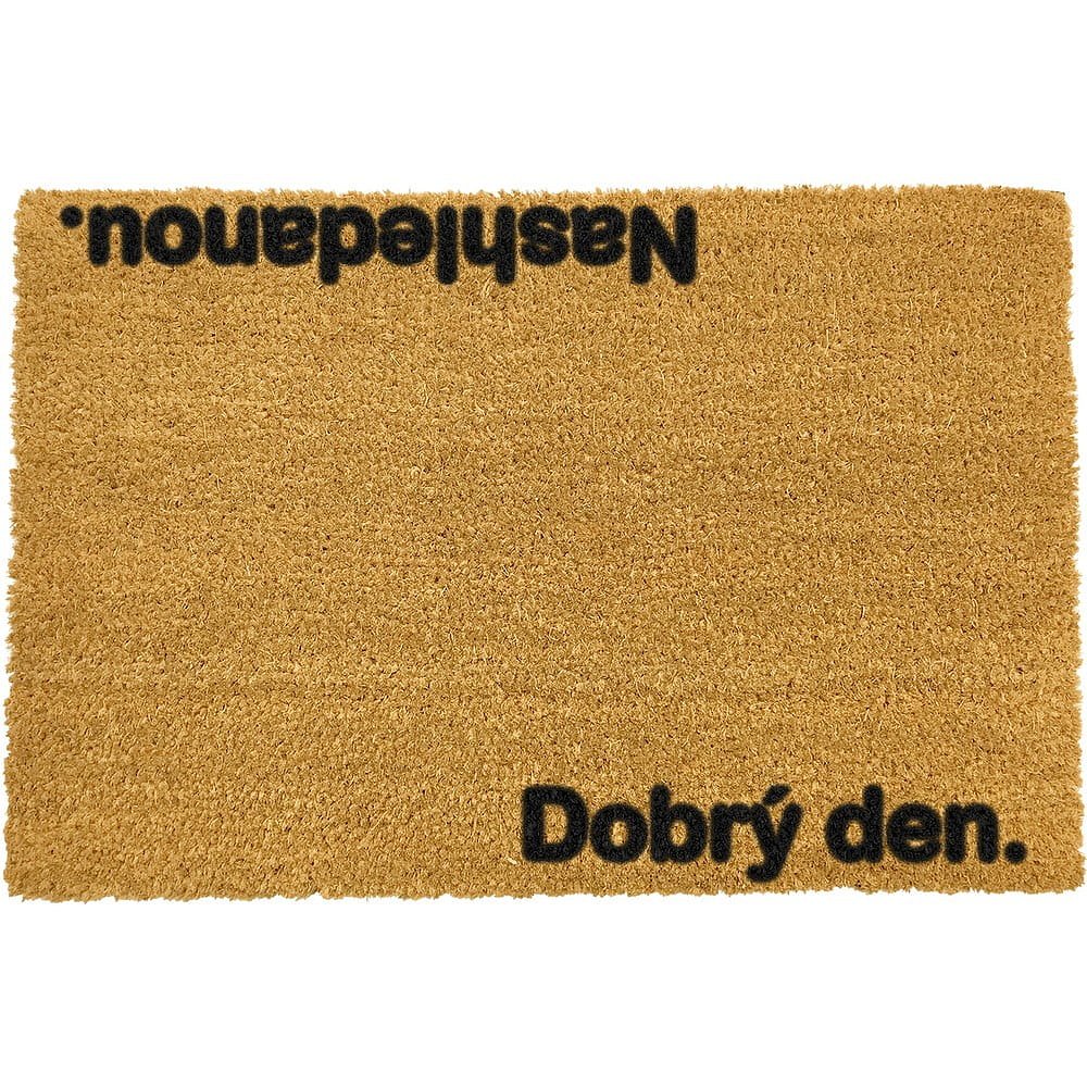 Rohožka z přírodního kokosového vlákna Artsy Doormats Nashledanou, 40 x 60 cm