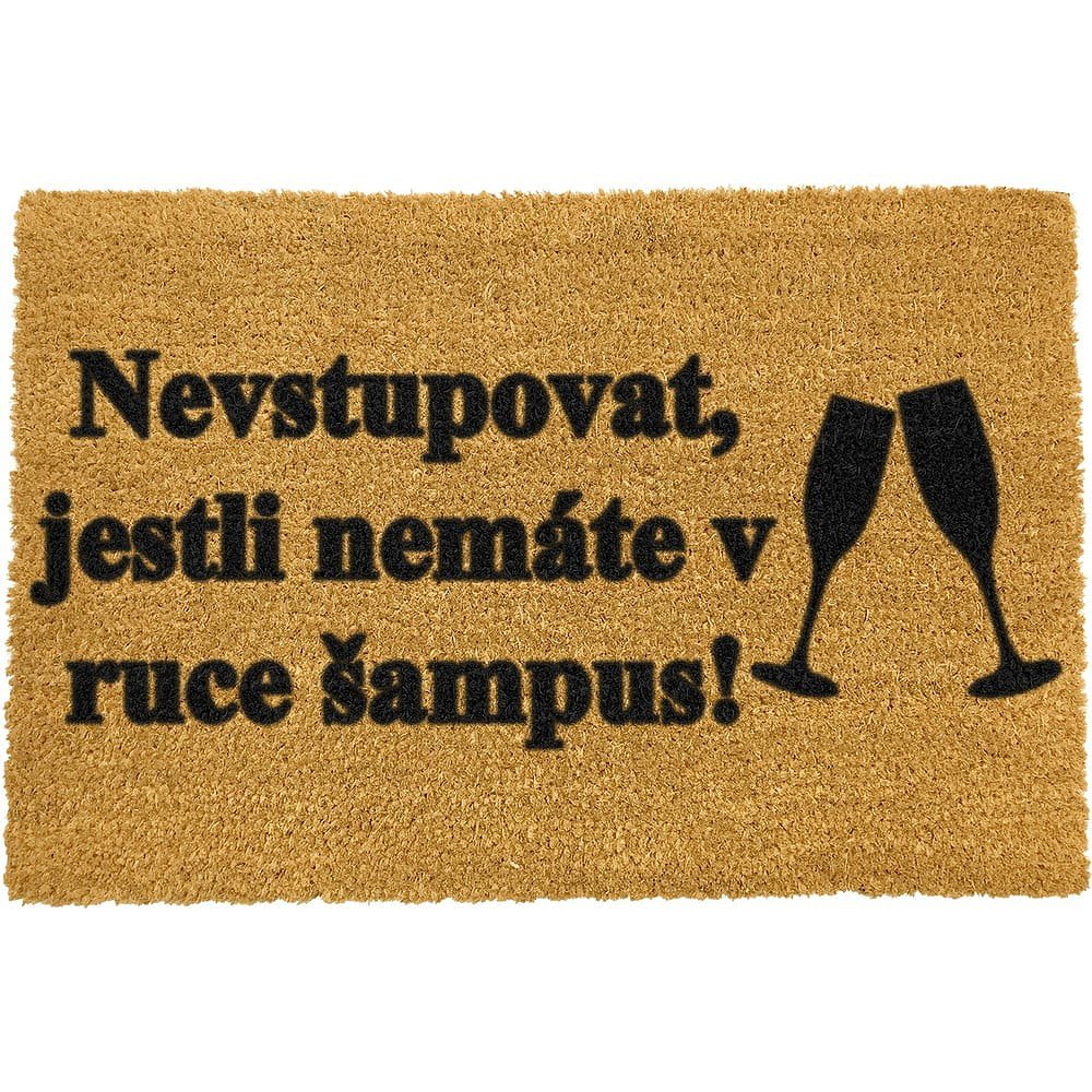 Rohožka z přírodního kokosového vlákna Artsy Doormats Šampus, 40 x 60 cm