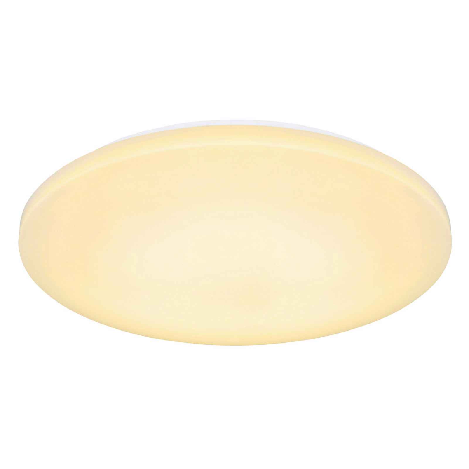 Stropní Led Svítidlo Promi, P: 54cm
