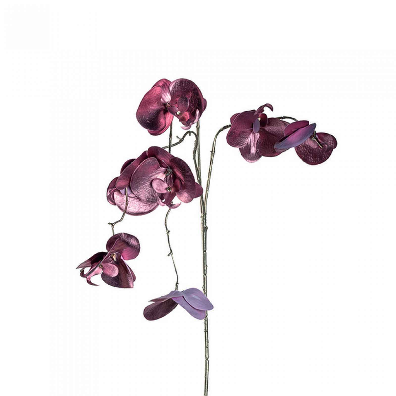 XXXLutz ORCHIDEJ Leonardo - Umělé květiny - 0038131502