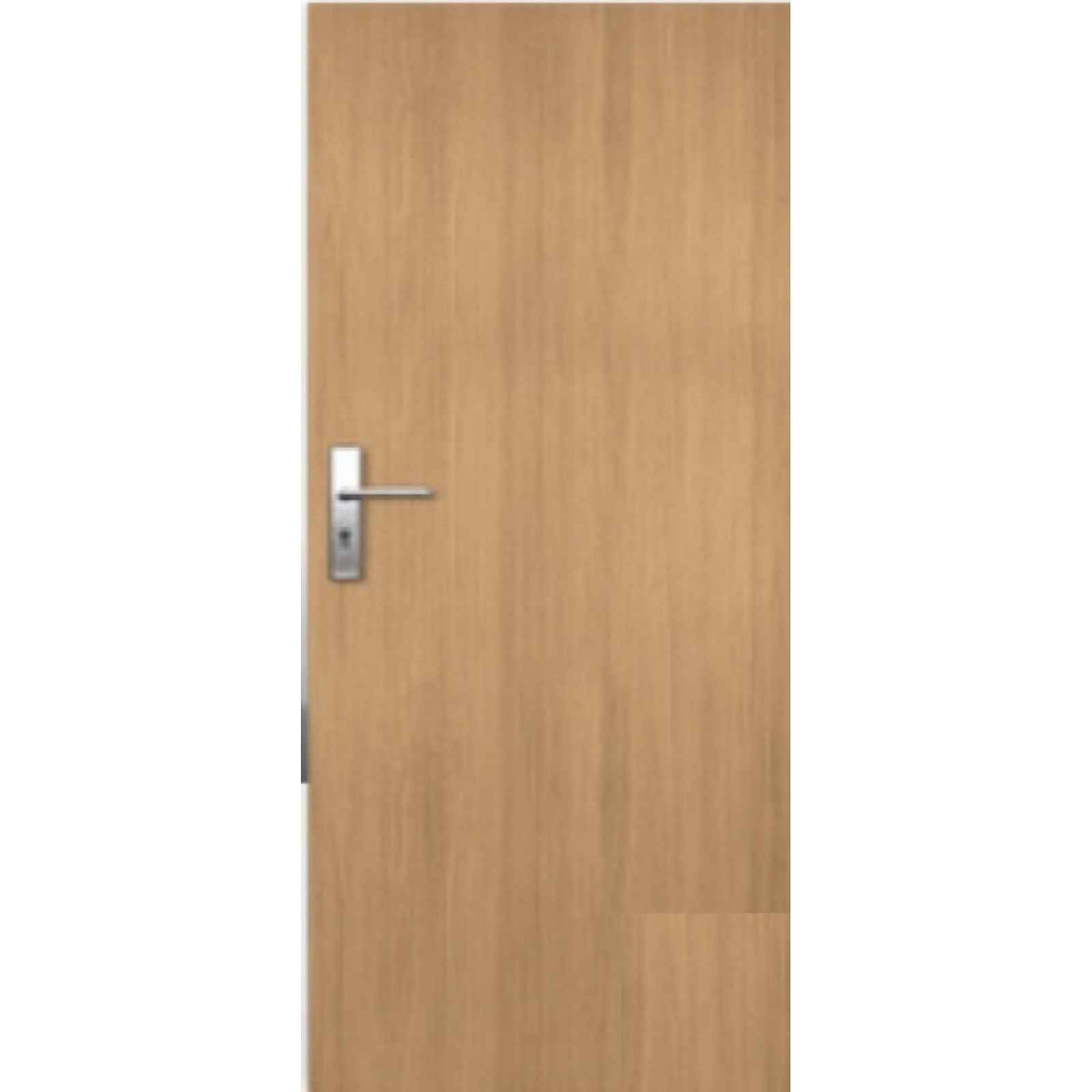 Vchodové dveře Naturel Entry pravé 80 cm jilm ENTRYJ80P