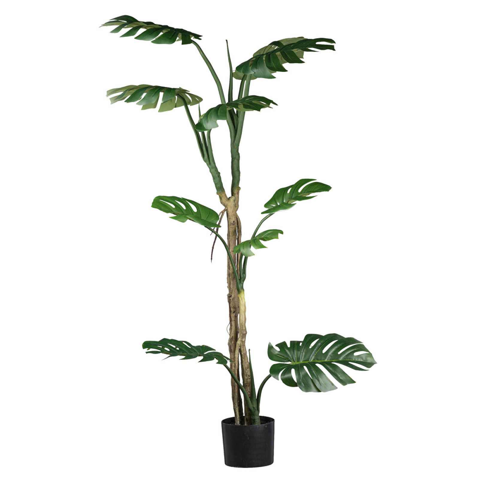 Umělá Rostlina Filodendron Monstera, V: 175cm