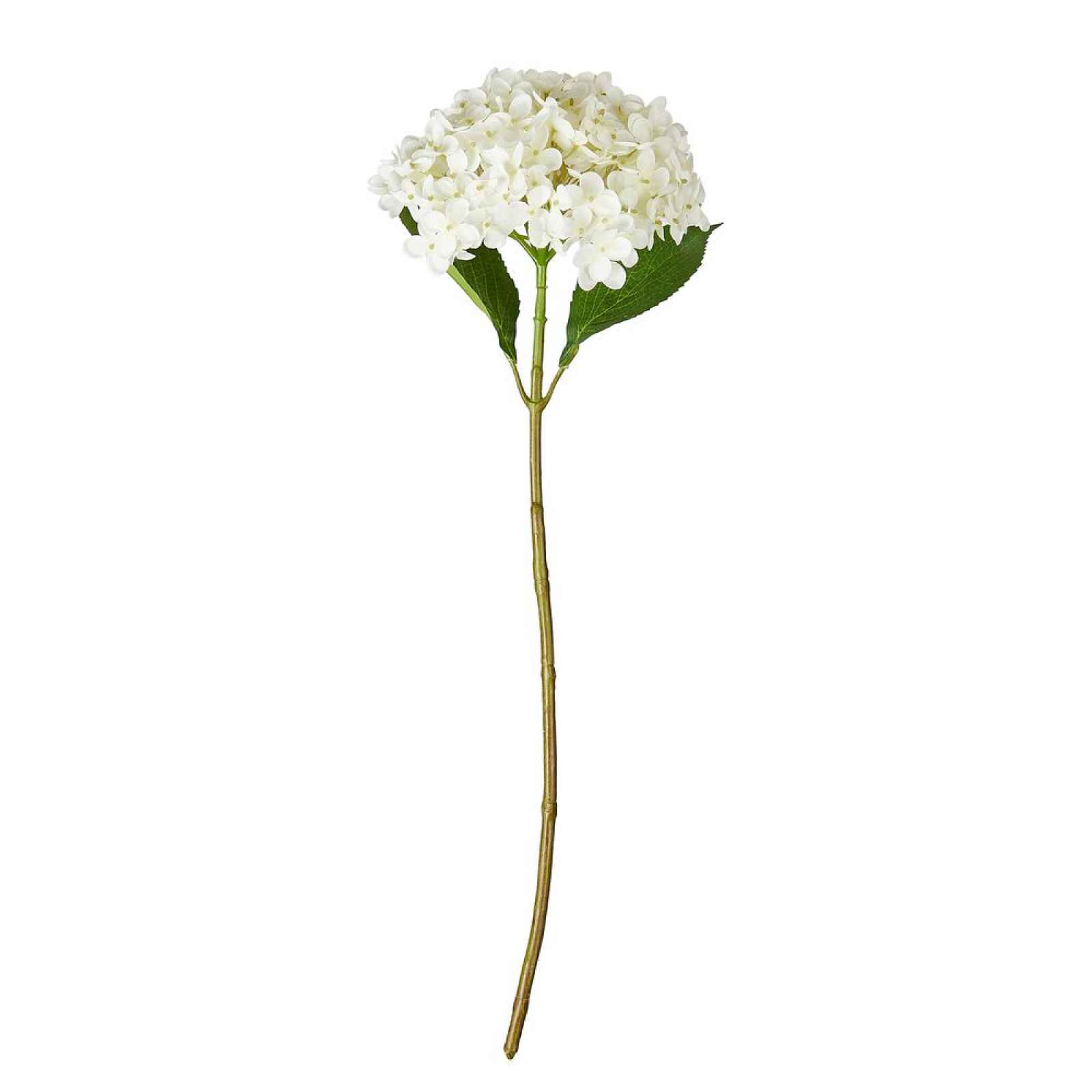 Butlers FLORISTA Hortenzie  63 cm - bílá