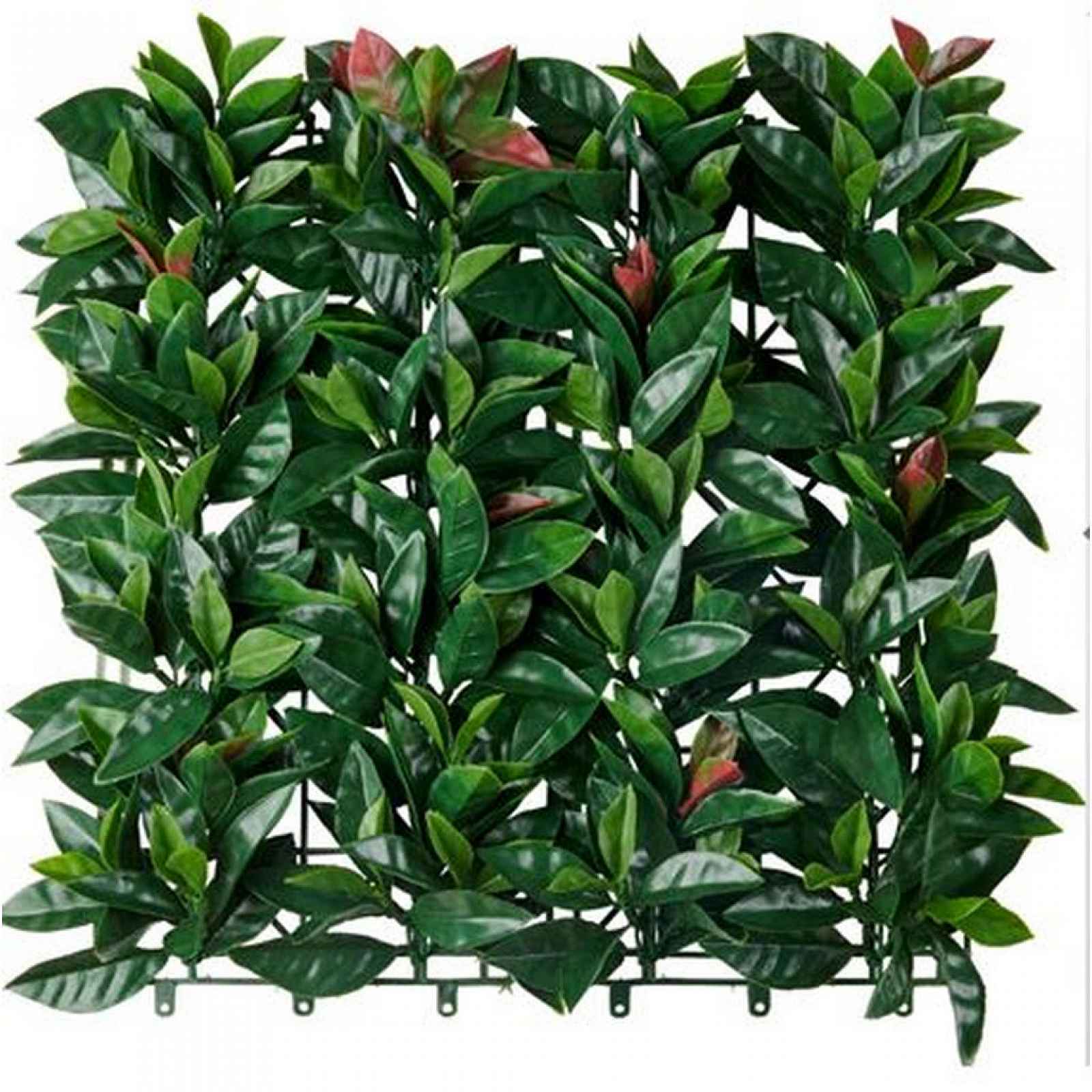 XXXLutz ROSTLINA UMĚLÁ fikus benjamín Ambia Garden - 0063390001