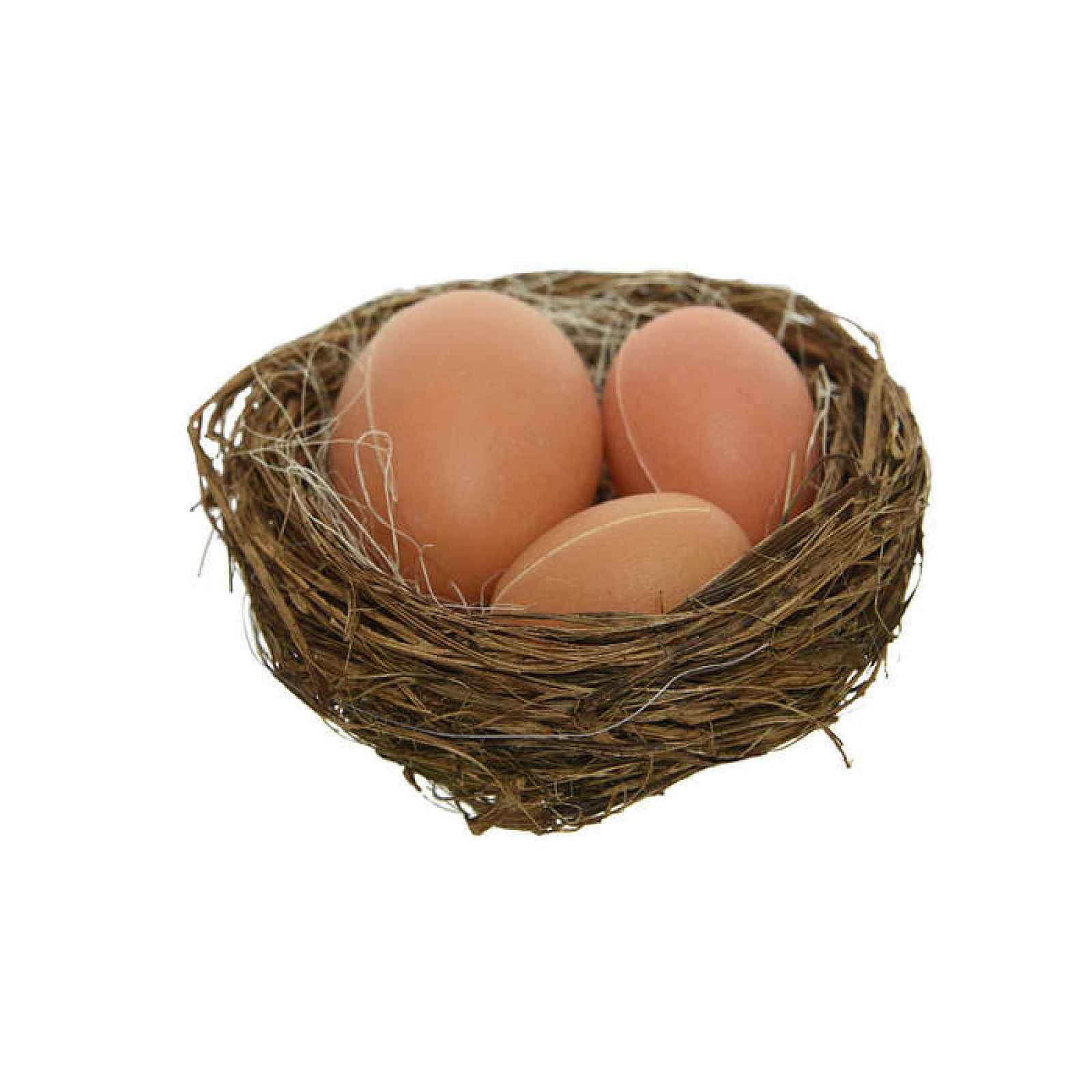 Hnízdo 3 vejce hnědé