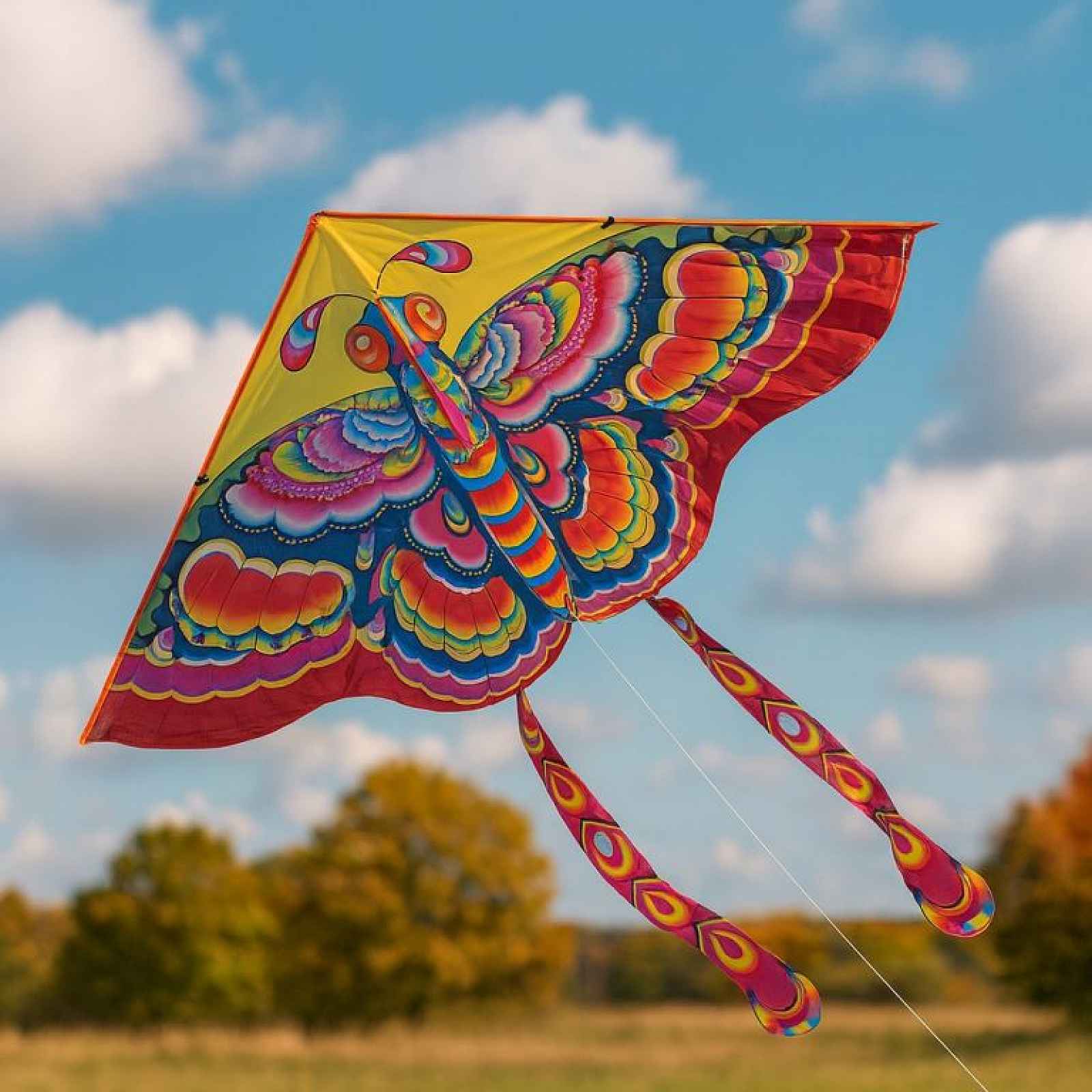 Létající drak 51 x 26 cm - MOTÝL