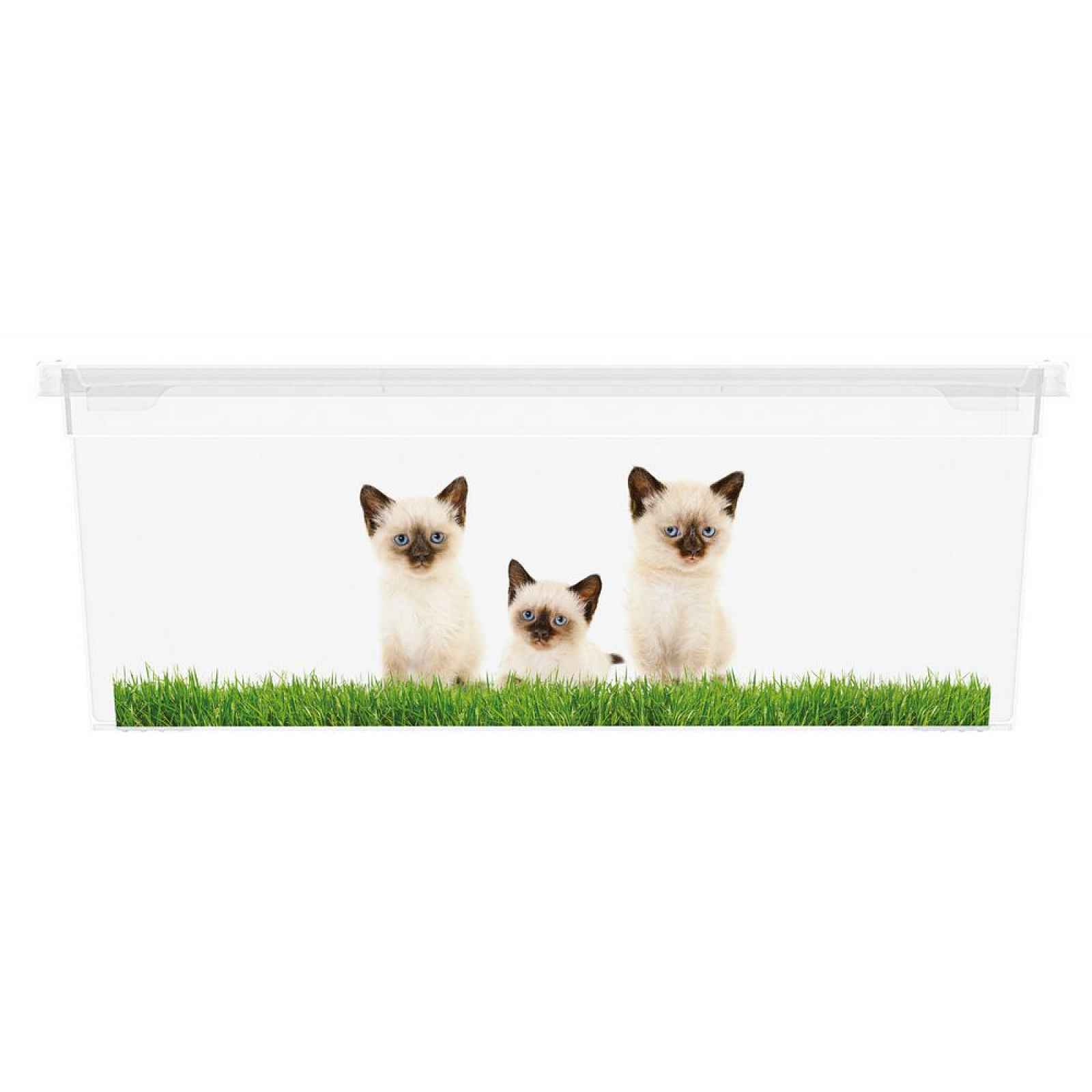 Úložný box velikosti XS motiv Puppy & Kitten