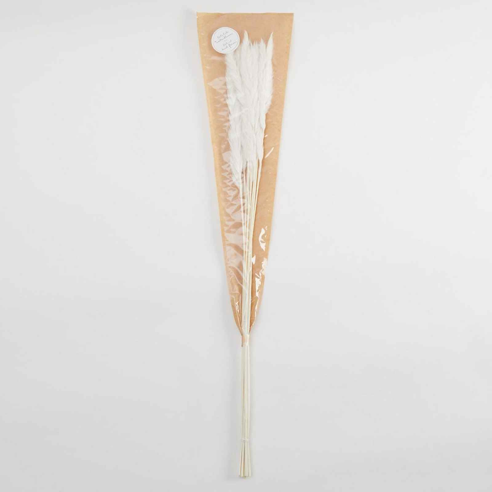 Butlers FLOWER MARKET Pampas tráva sušená 70 cm - krémová