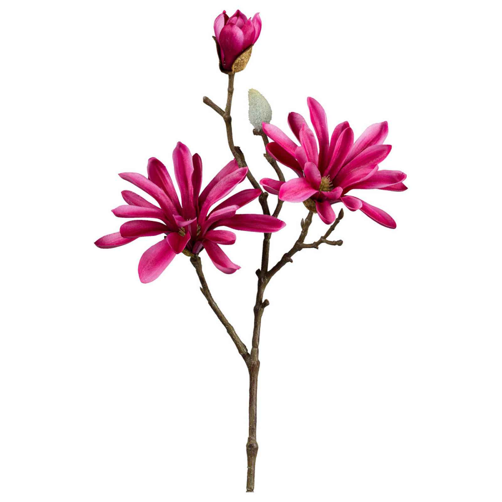 Umélá Rostlina Magnolie, V: 45cm