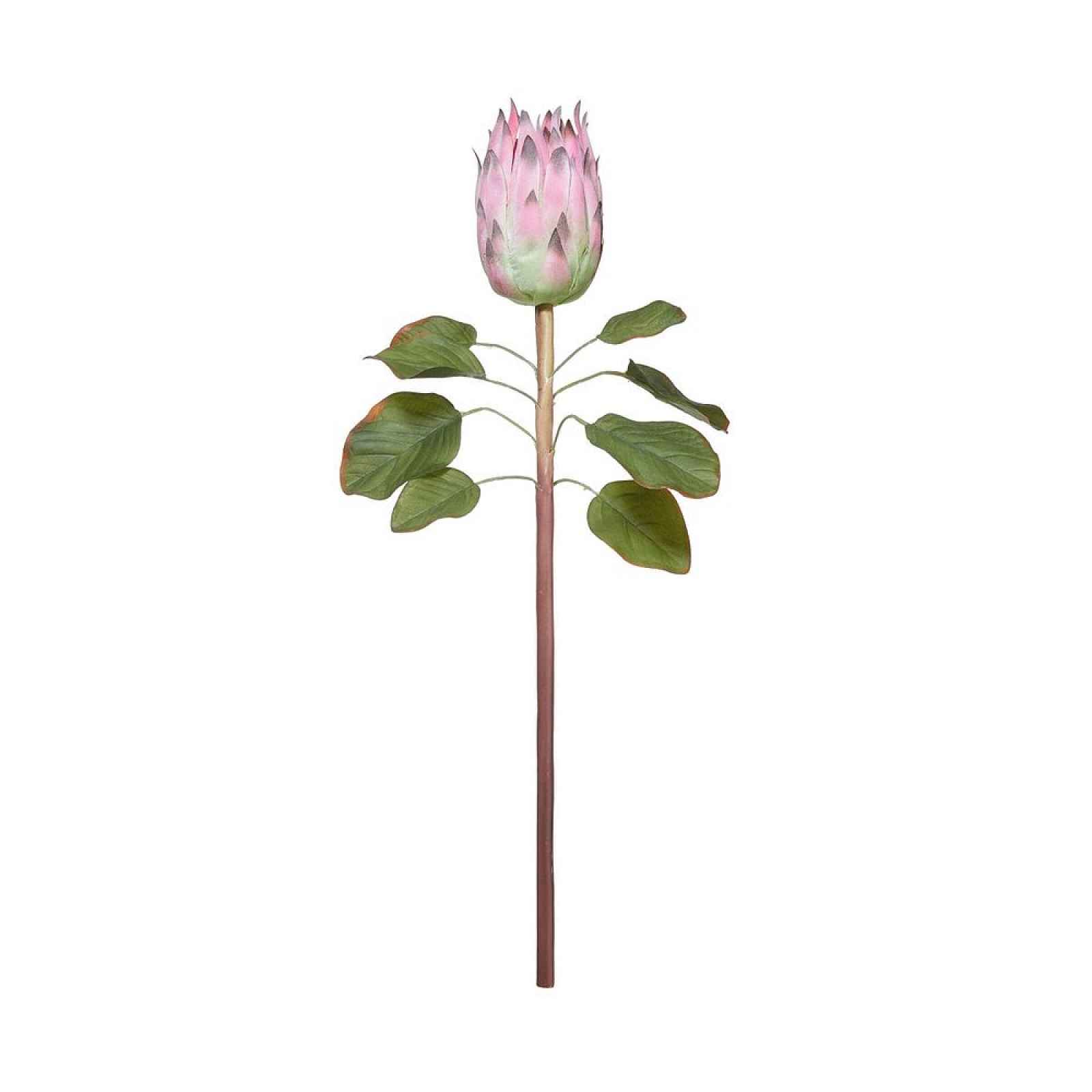 Butlers FLORISTA Protea 60 cm - sv. růžová