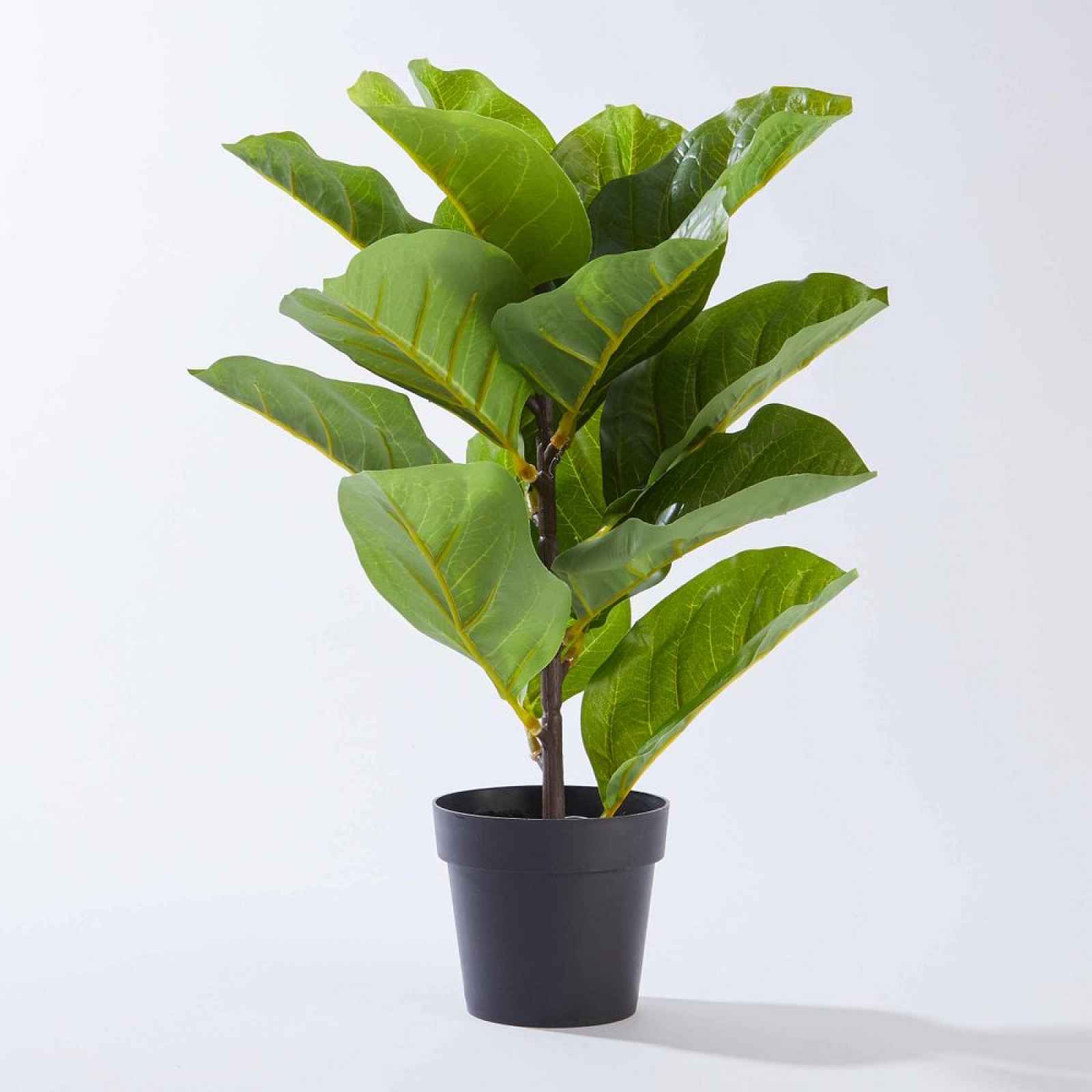 Butlers FLORISTA Ficus lyrata v květináči 40 cm