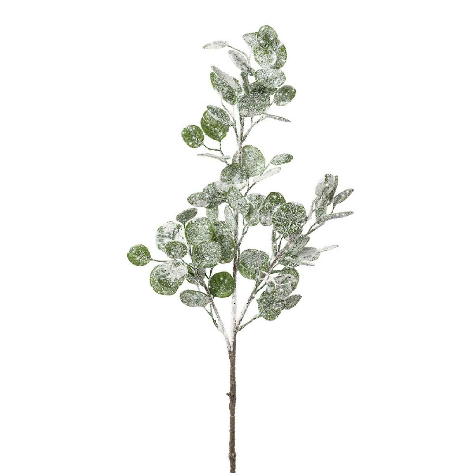 Umělá Rostlina Eukalyptus, V: 84cm