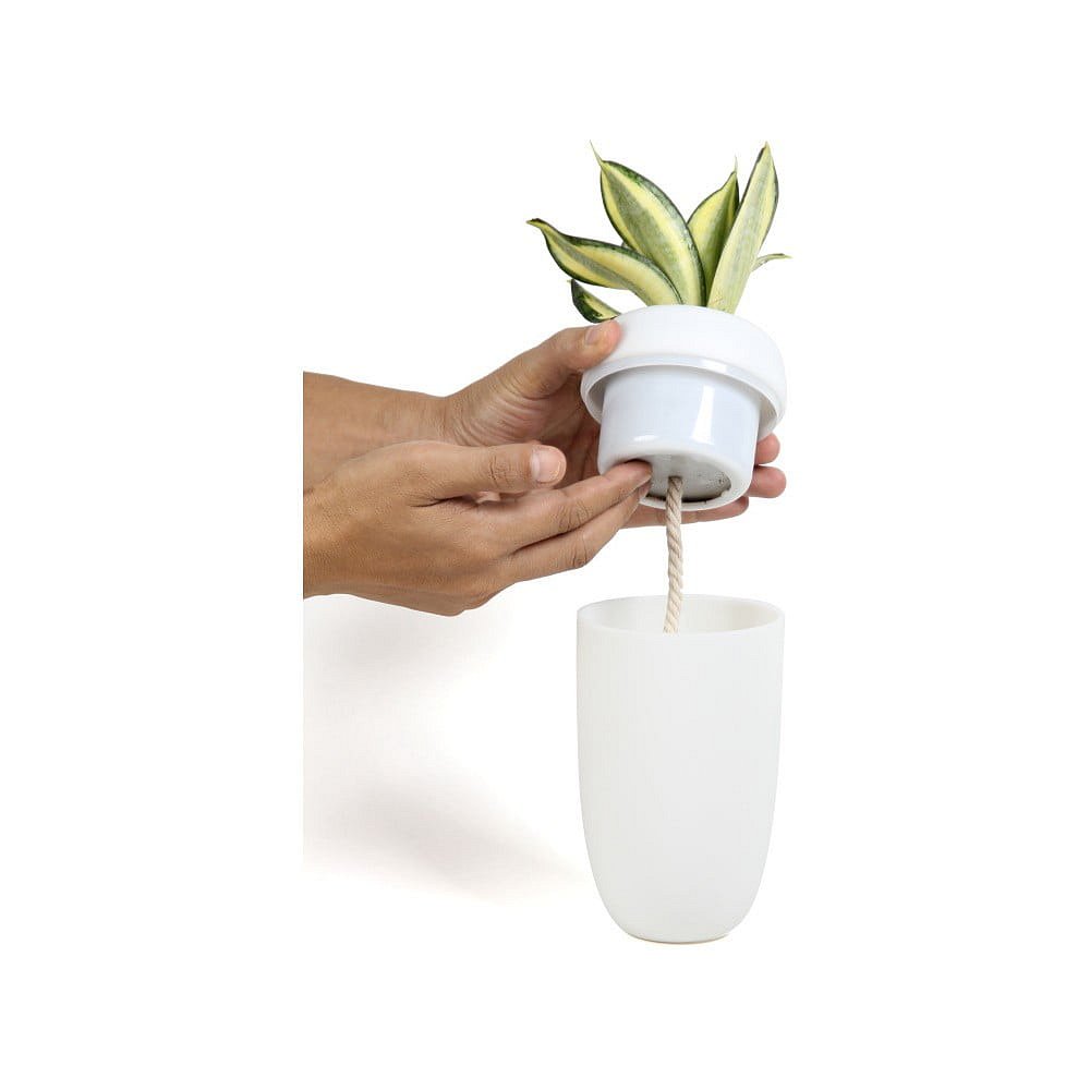 Bílý samozavlažovací květináč s možností instalace na zeď Qualy&CO Carepot