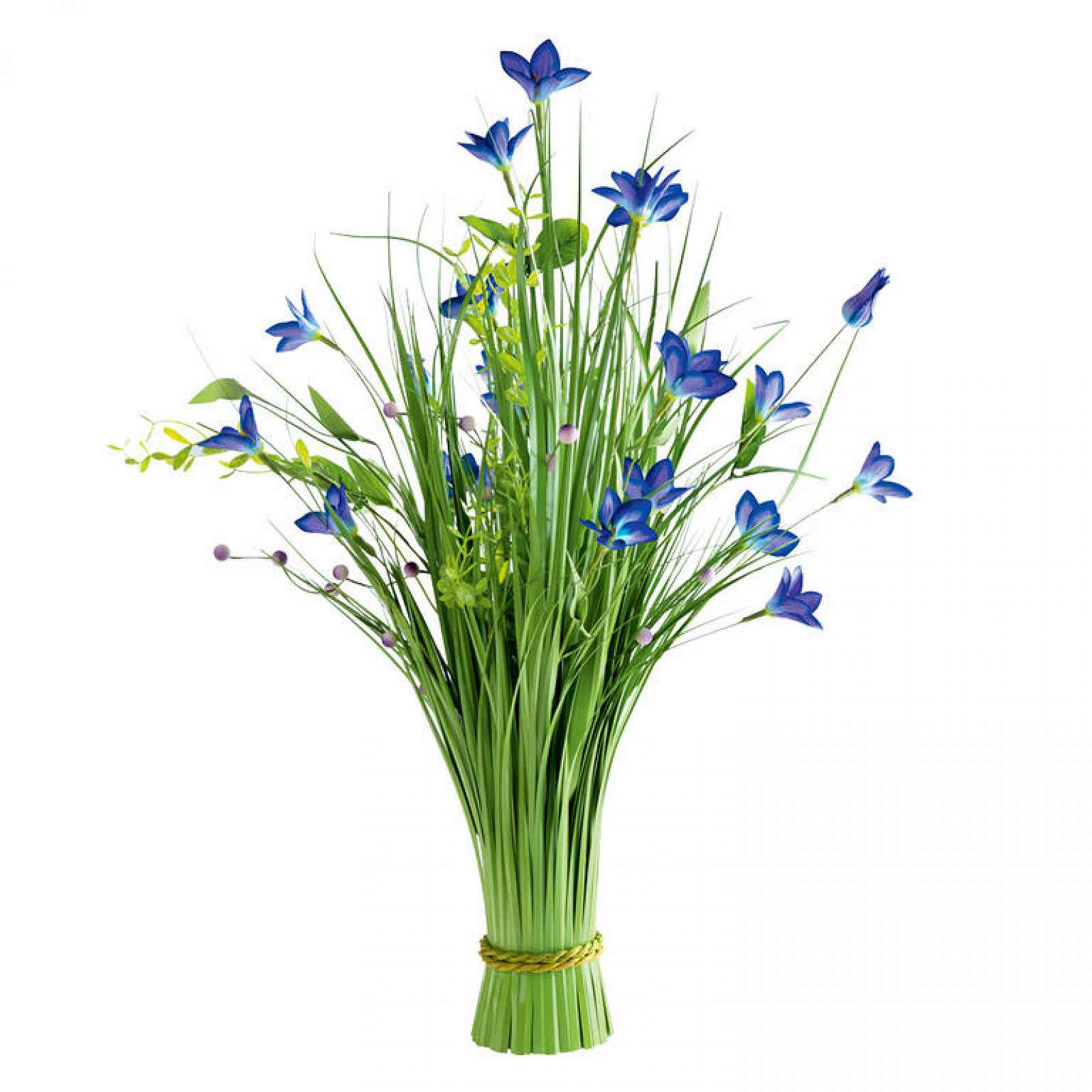 Okrasná tráva svazek modré květy