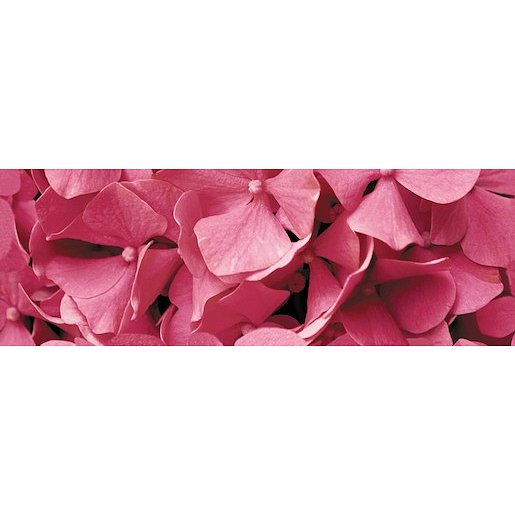 Dekor Fineza Velvet růžová Flowers 25x73 cm lesk DFLOWERS1
