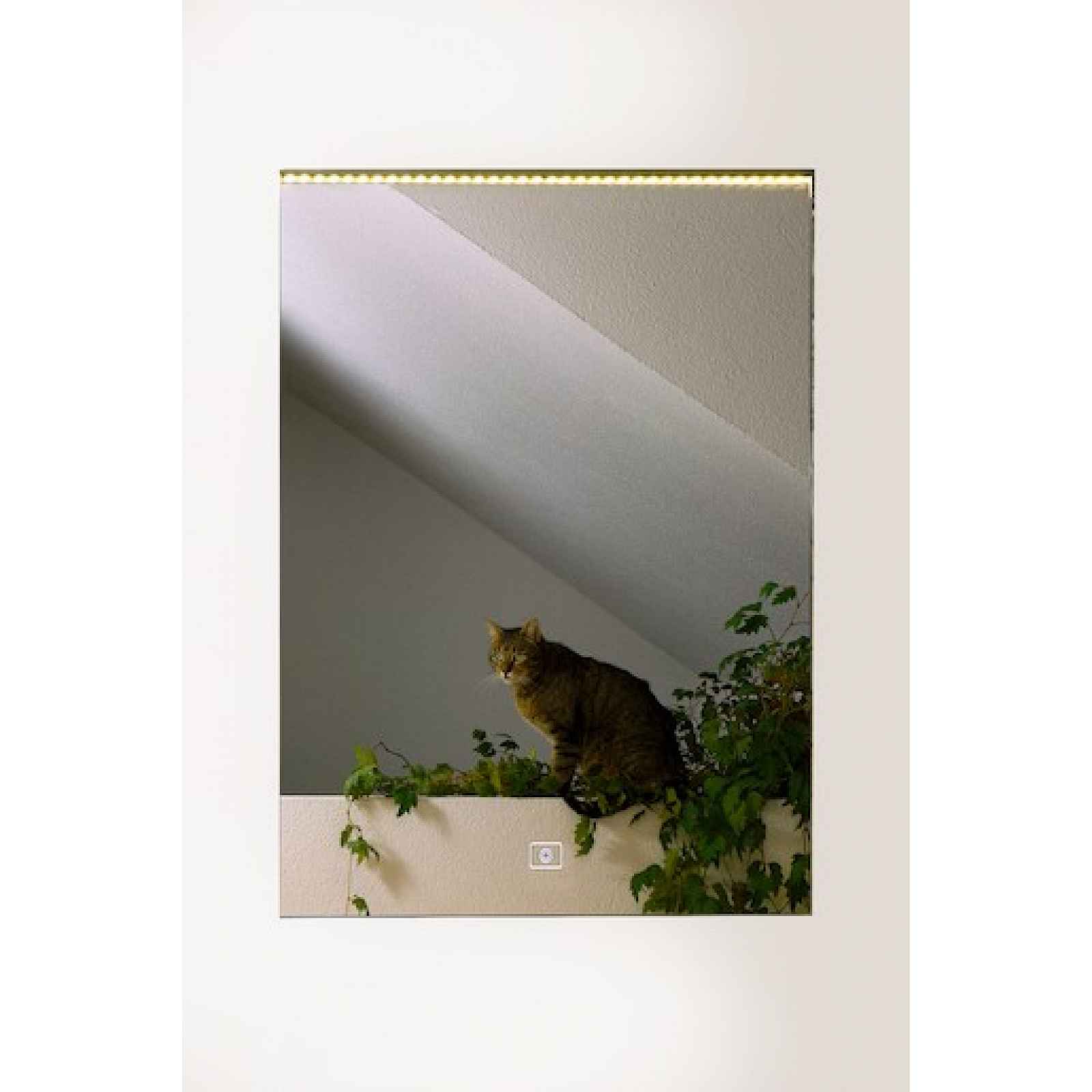 Zrcadlo s LED osvětlením Amirro 50x70 cm 901-404