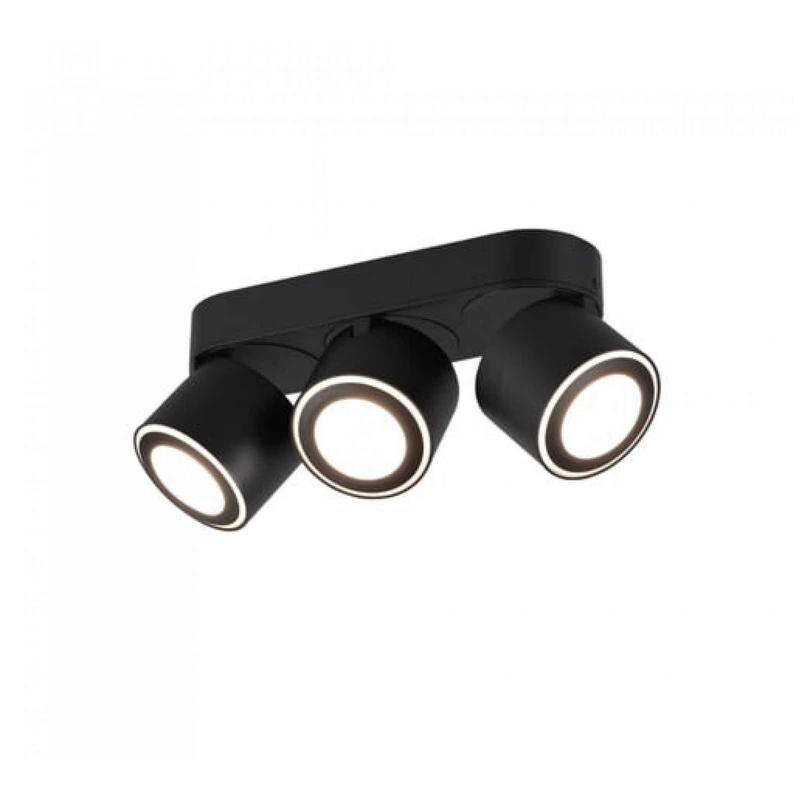 LED stropní osvětlení Trio Taurus černá 652910332