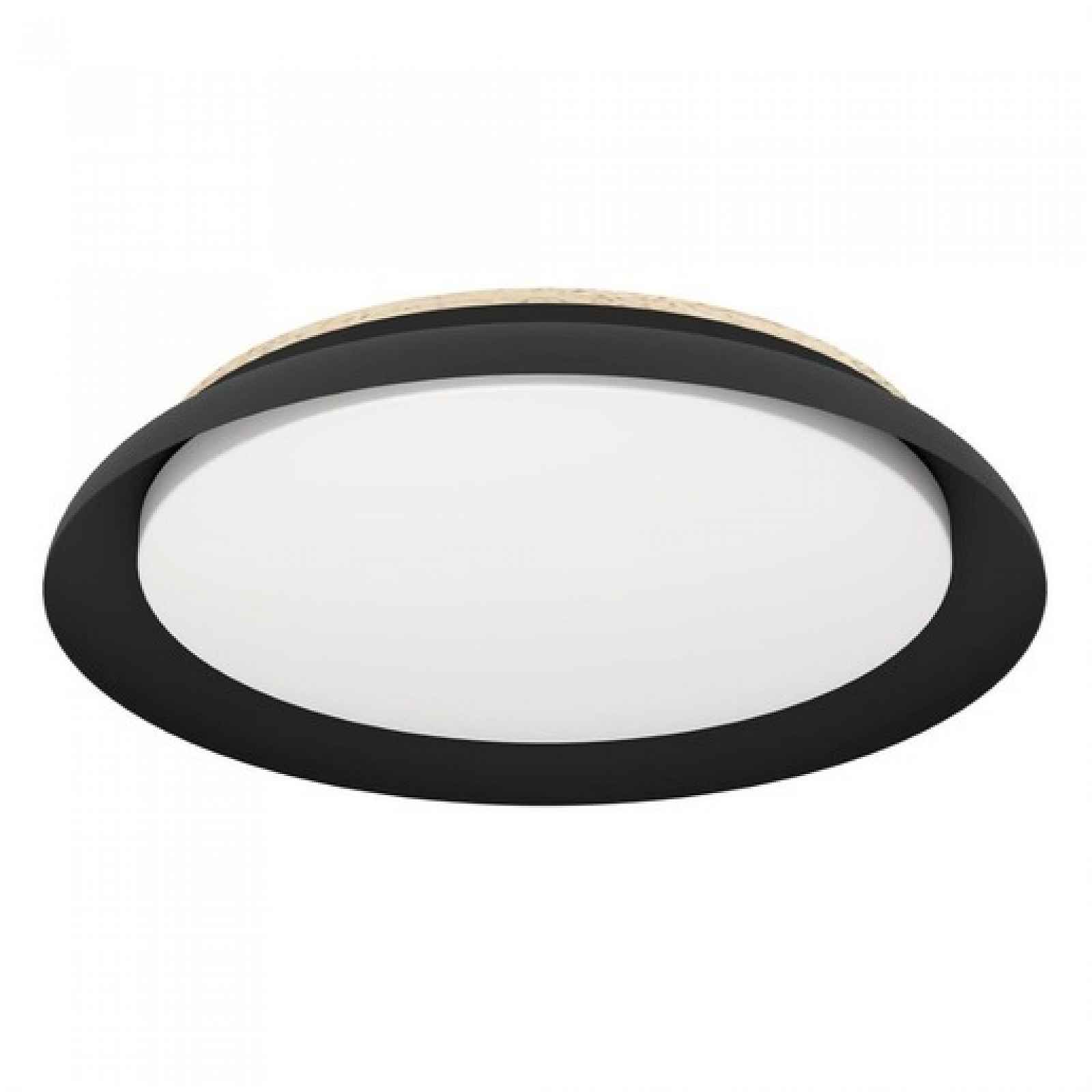 LED Stropní osvětlení Eglo PENJAMO 1 černá 900857