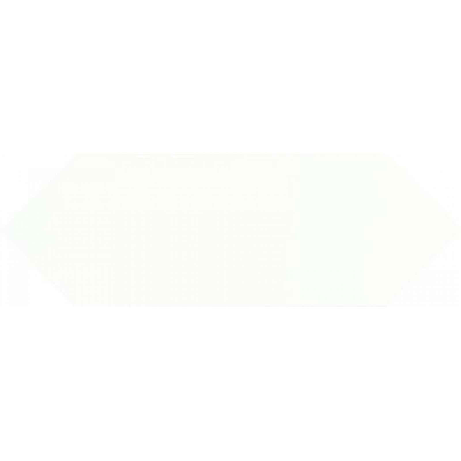 Obklad Ribesalbes Picket white 10x25 cm lesk PICKET2798
