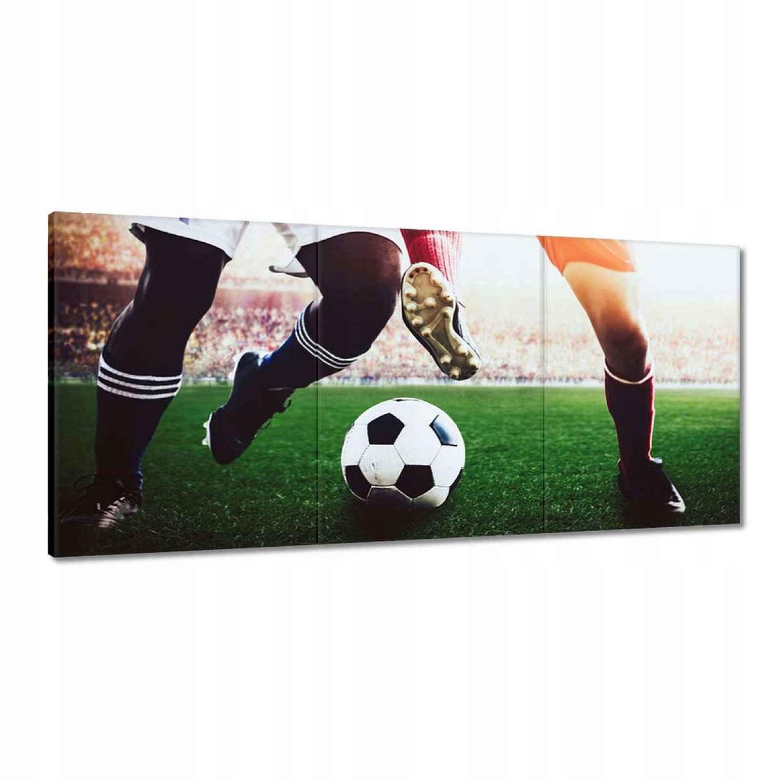 Obrazy 210x100 Fotbalisté Fotbal Gala Korky