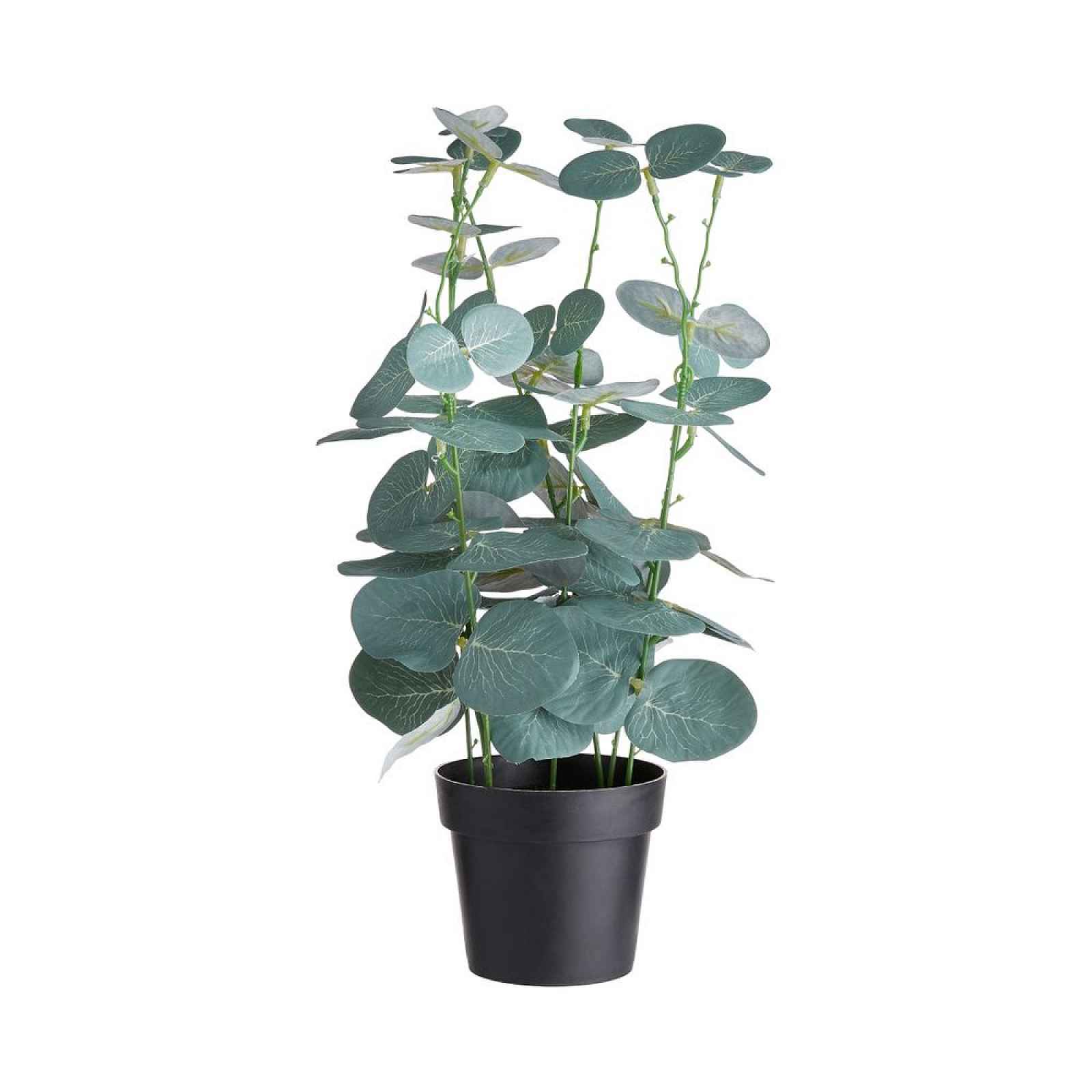 Butlers FLORISTA Eukalyptus v květináči 35 cm