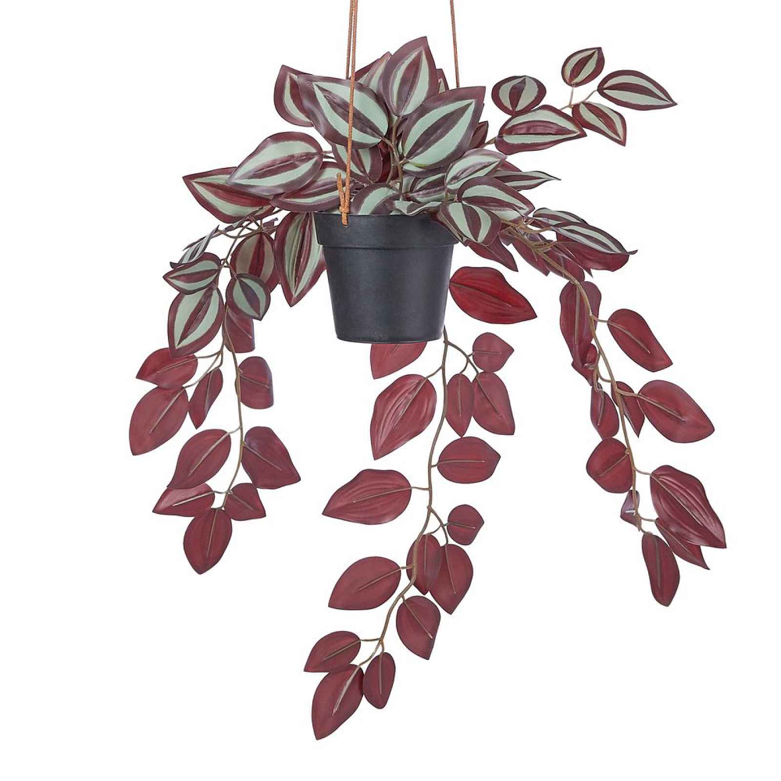 Butlers FLORISTA Tradescantia zebrina v květináči 50 cm