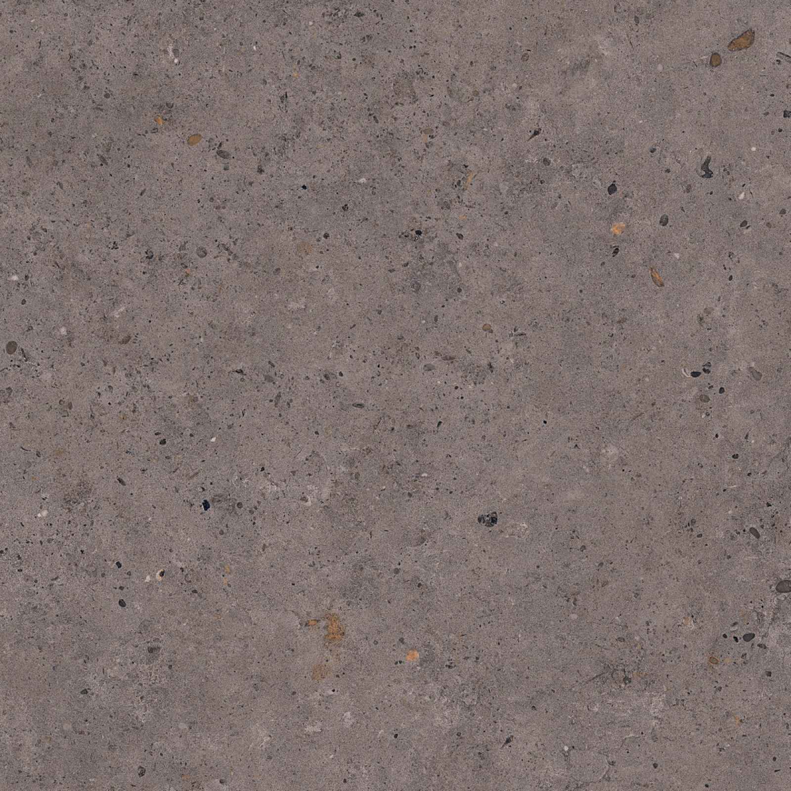 Dlažba Pastorelli Biophilic dark grey 80x80 cm mat P009420