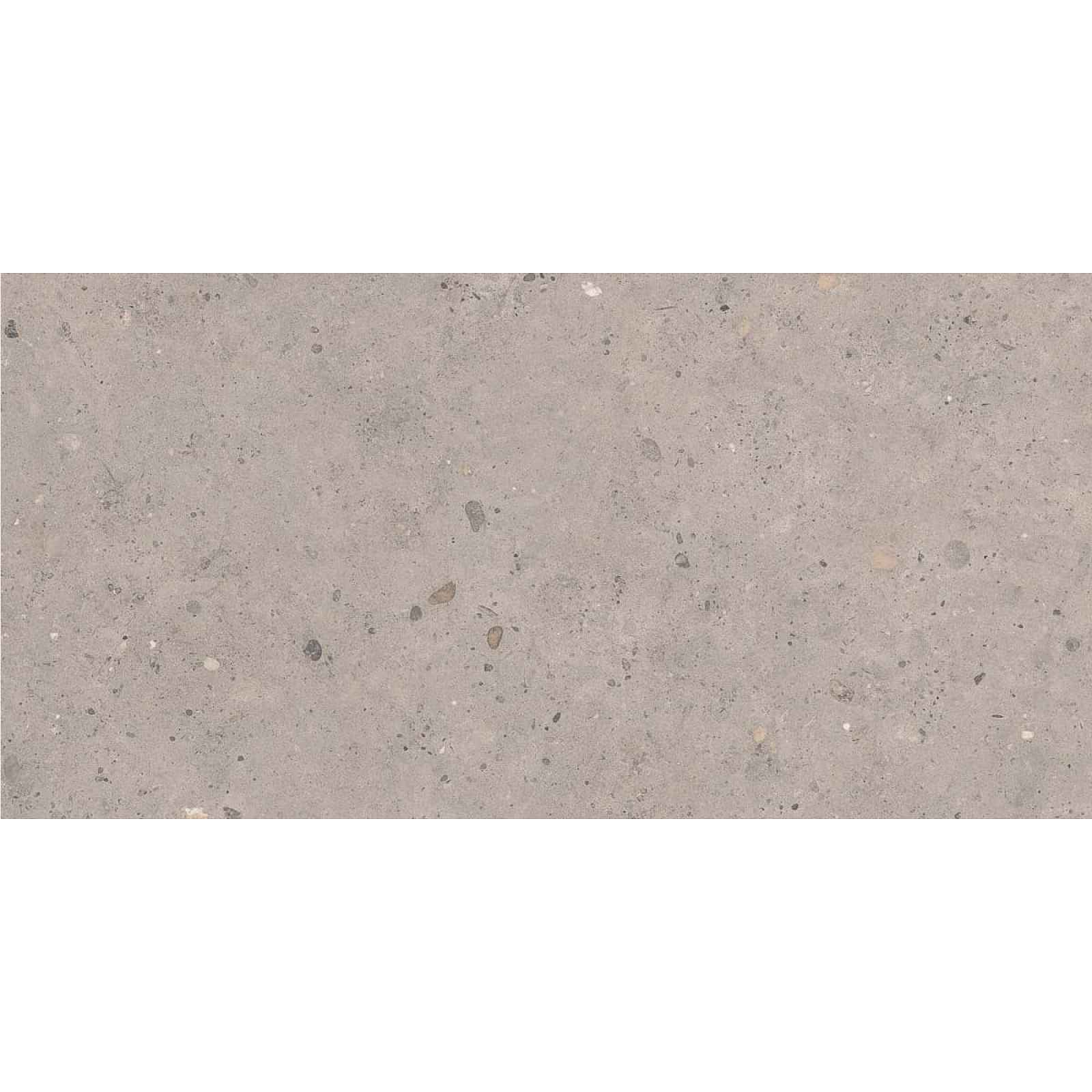 Dlažba Pastorelli Biophilic grey 60x120 cm mat P009415