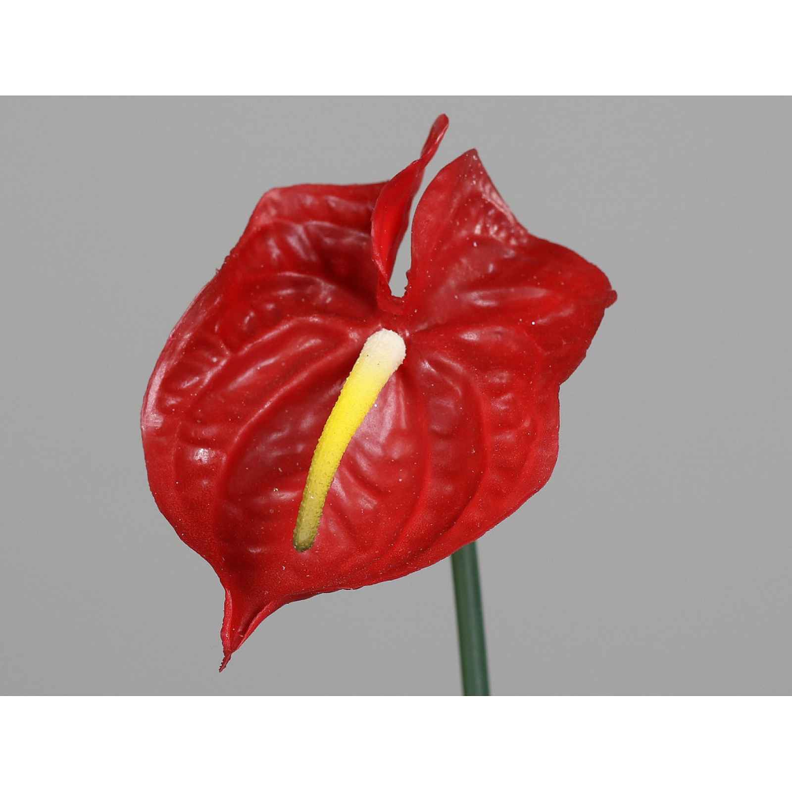 Umělá květina Anthurium 65 cm, červená