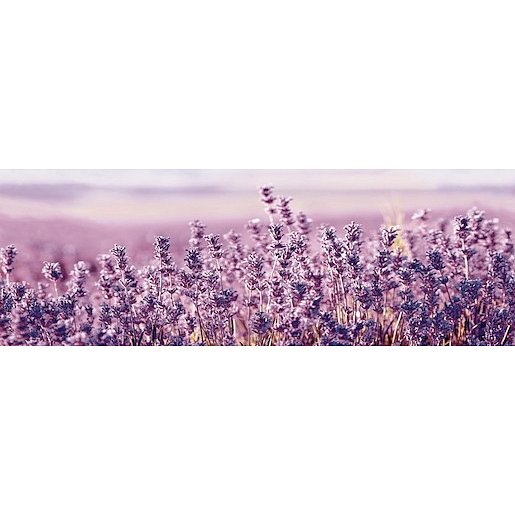 Dekor Fineza Velvet fialová Lavanda 25x73 cm lesk DLAVANDA