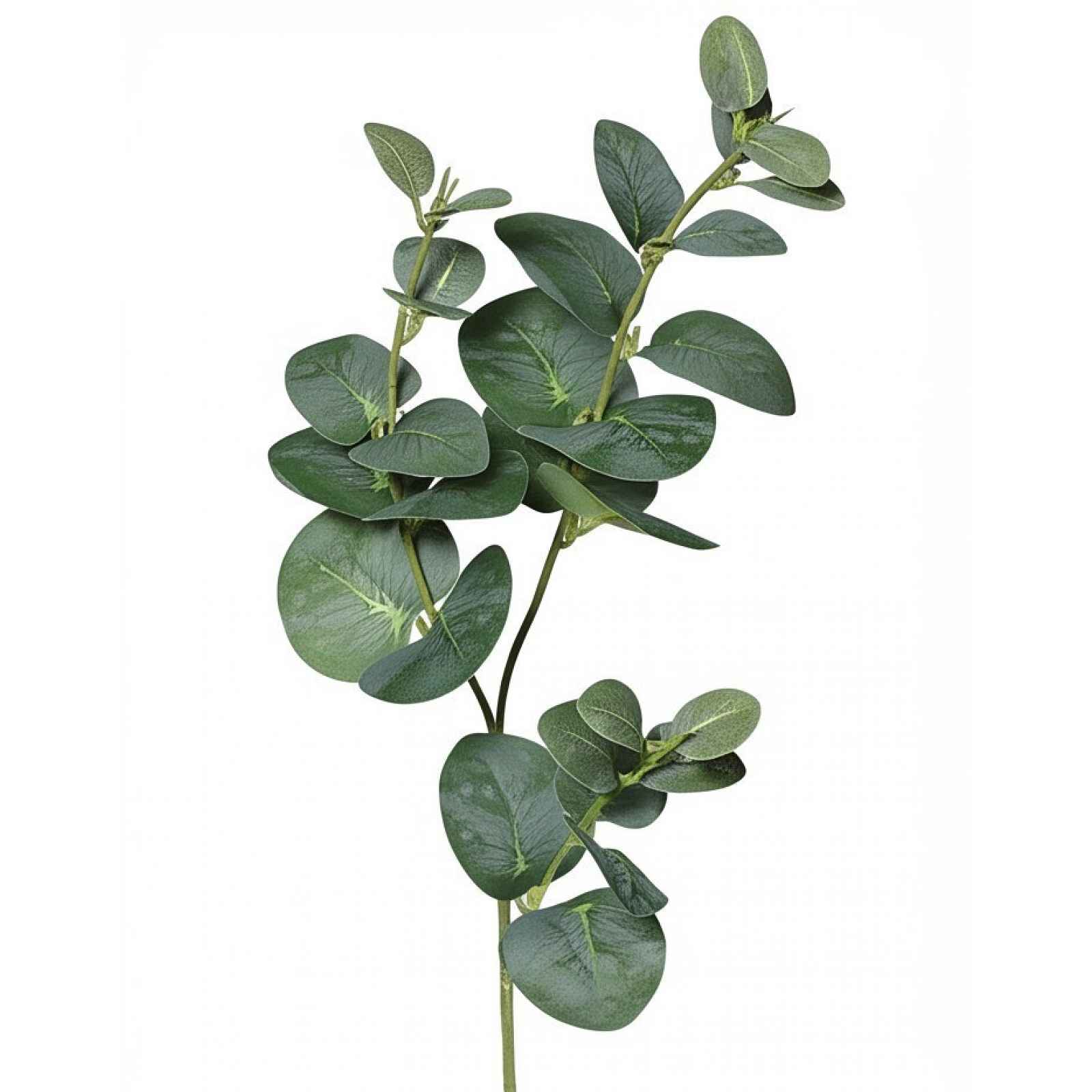 Umělá rostlina Eukalyptus 64 cm, zelená