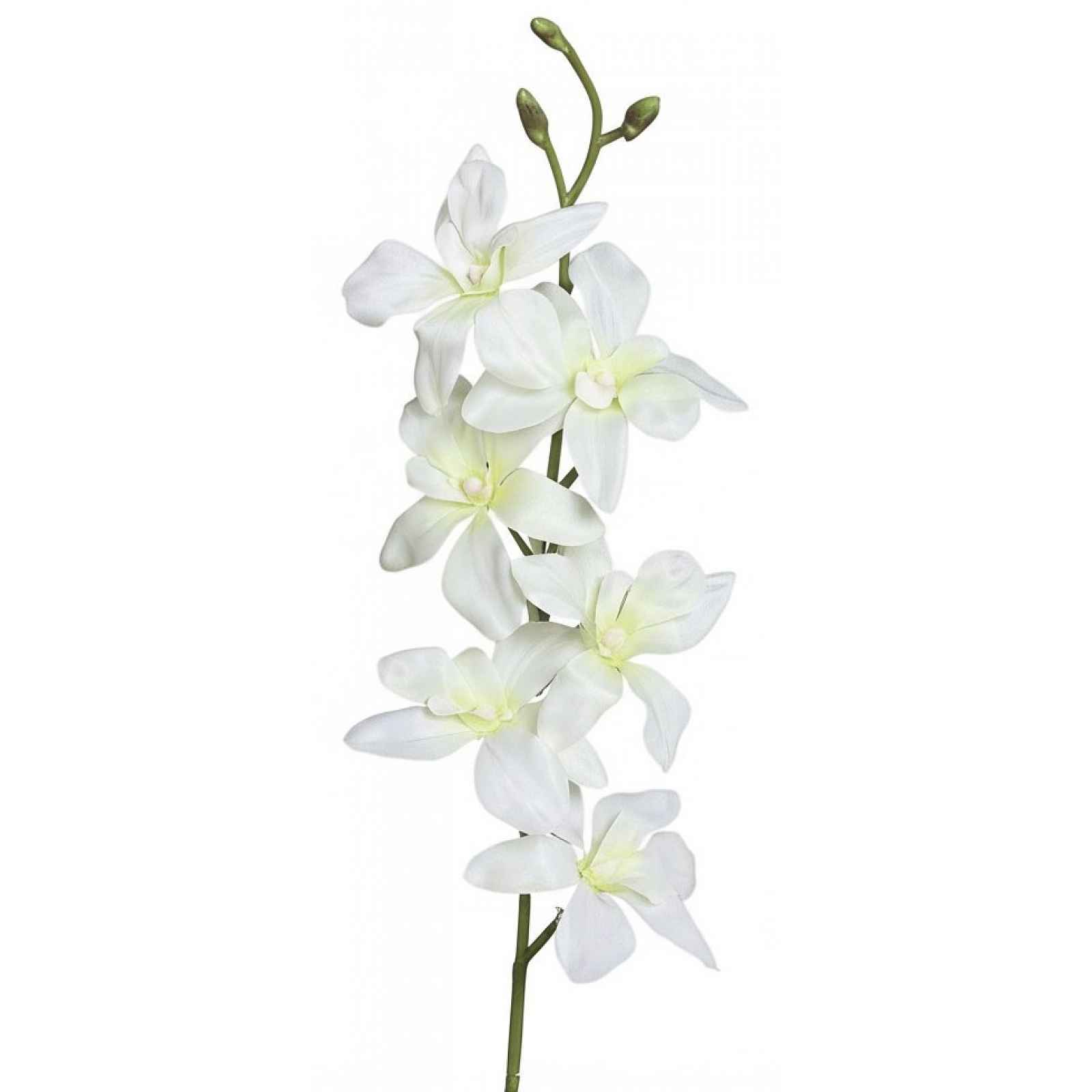 Umělá květina Orchidej 64 cm, krémová