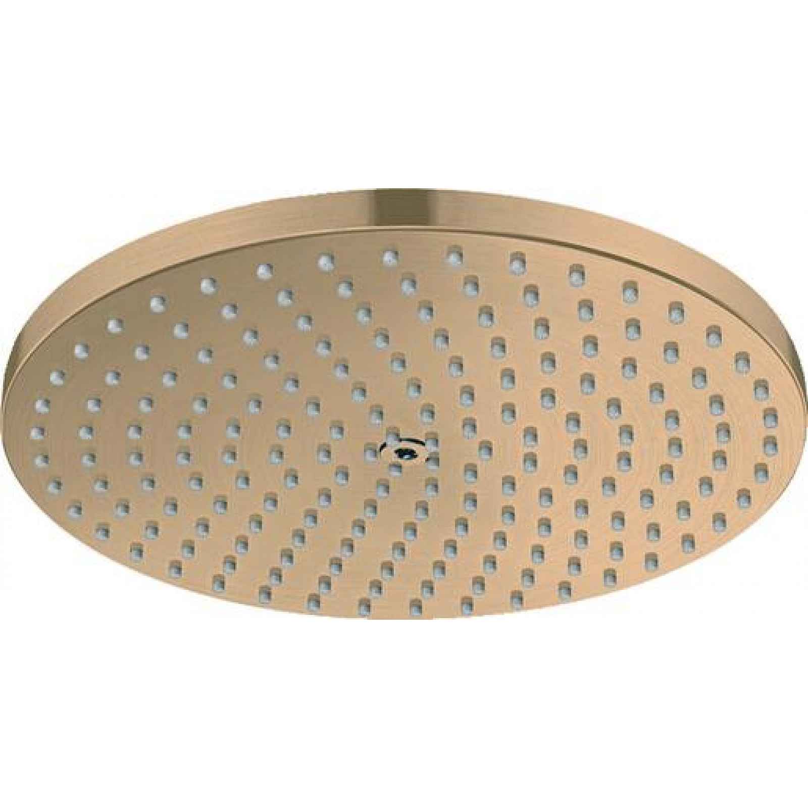 Hlavová sprcha Hansgrohe Raindance S kartáčovaný bronz 27623140