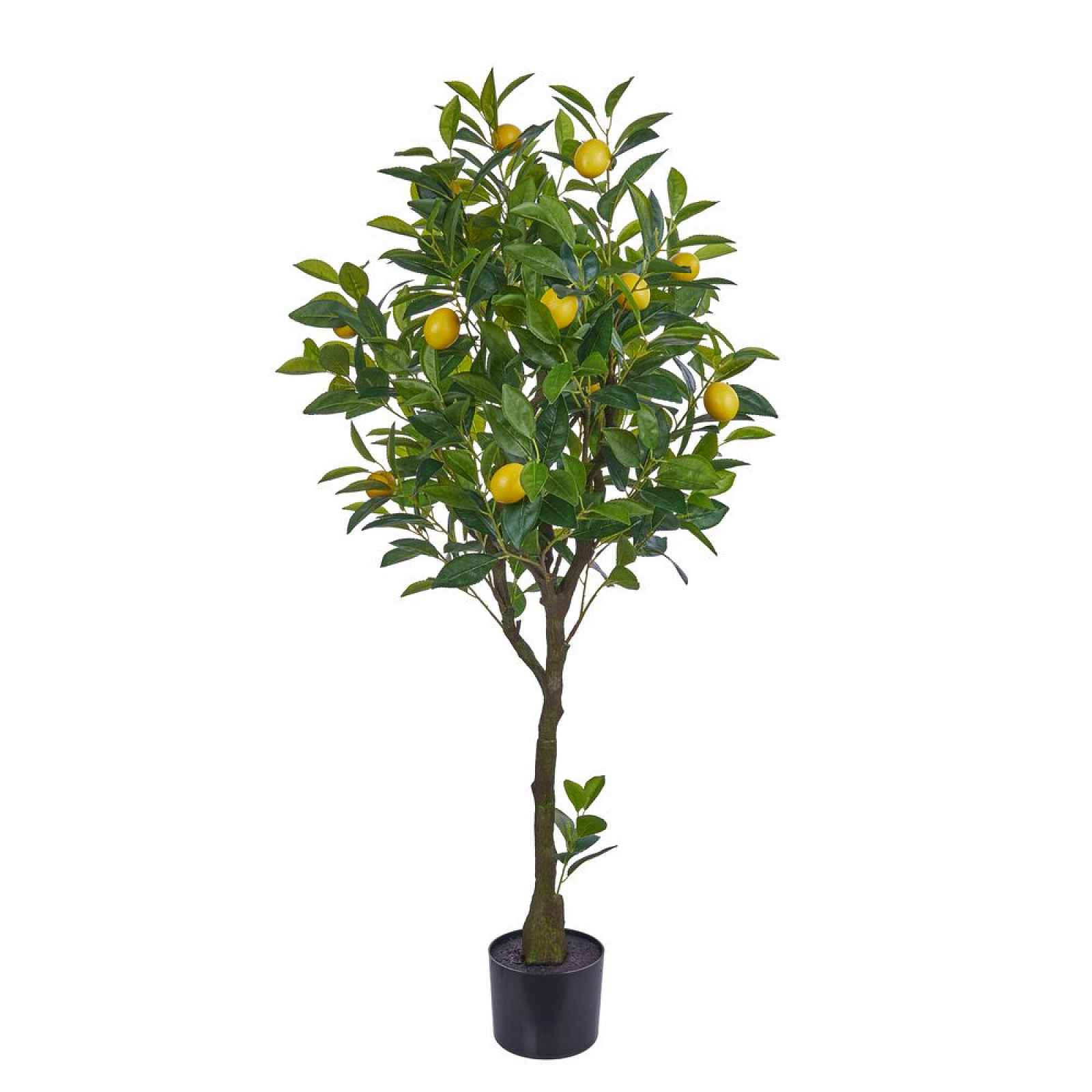 Butlers FLORISTA Citroník v květináči 115 cm