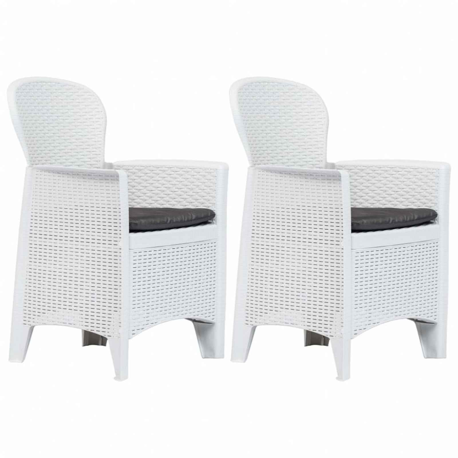 Zahradní židle 2 ks plast Bílá