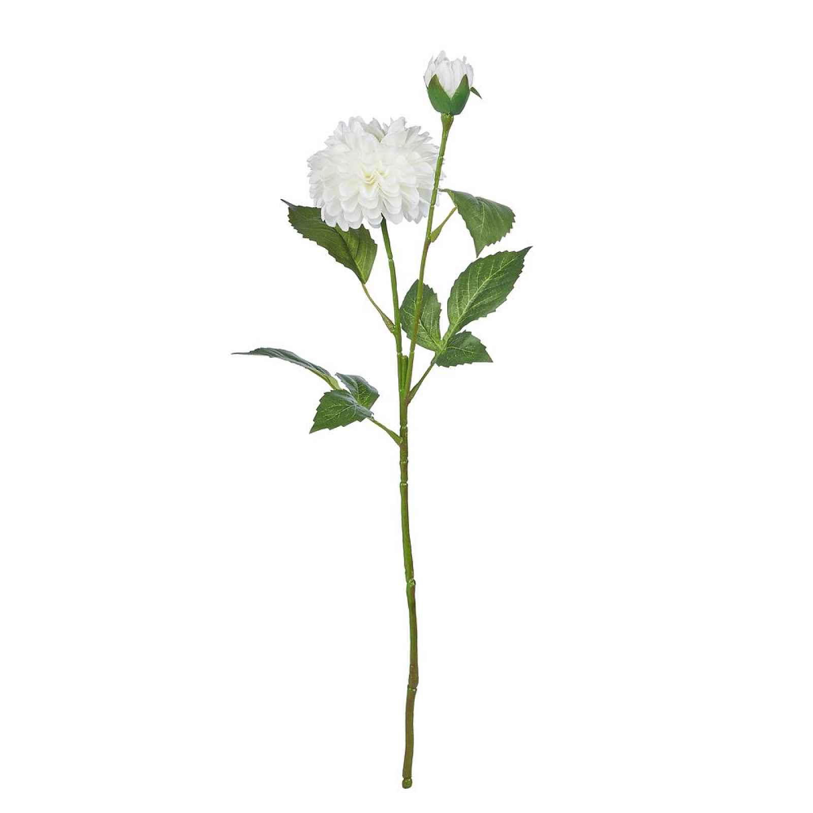 Butlers FLORISTA Pivoňka - bílá