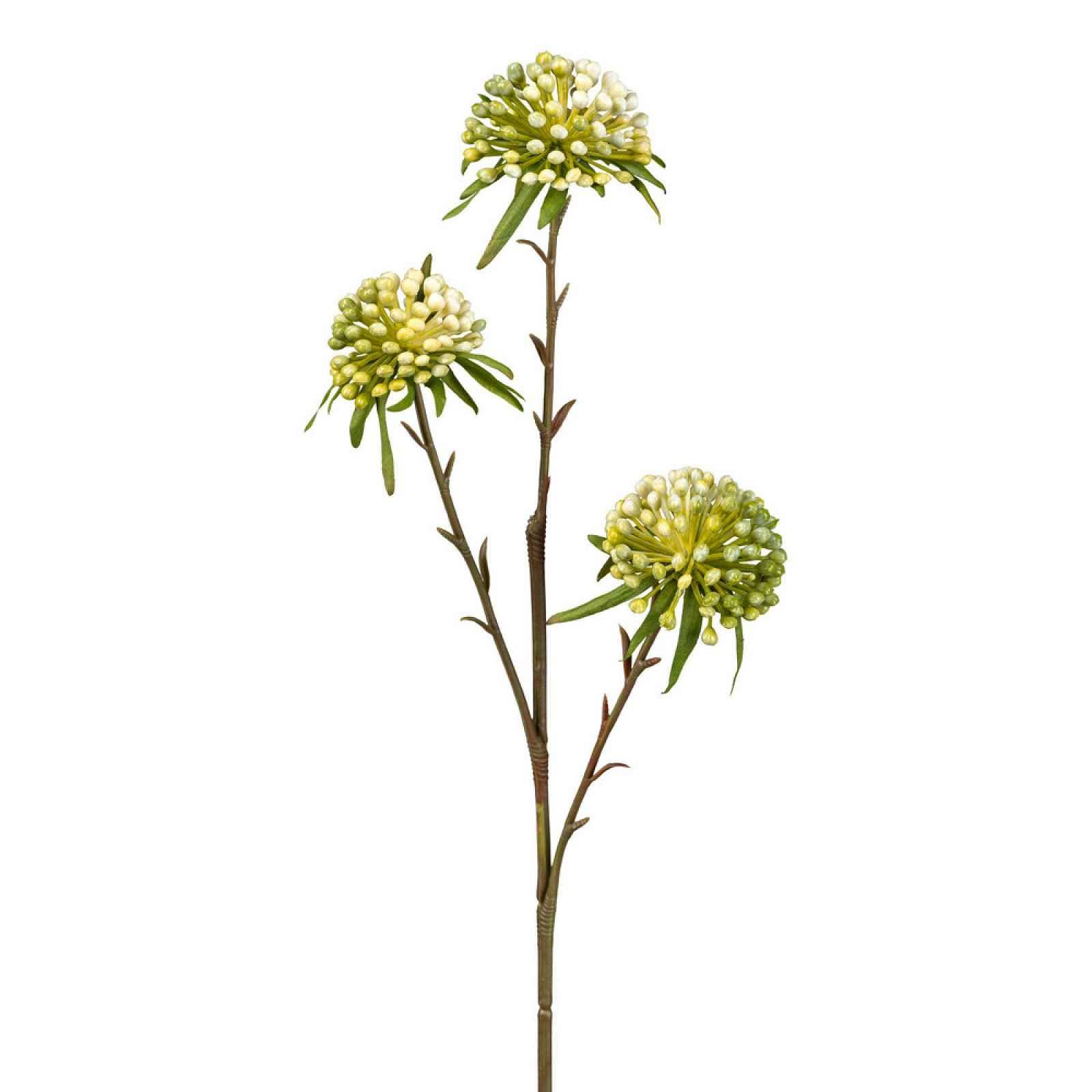 Umělá Rostlina Allium, Výška: 62cm