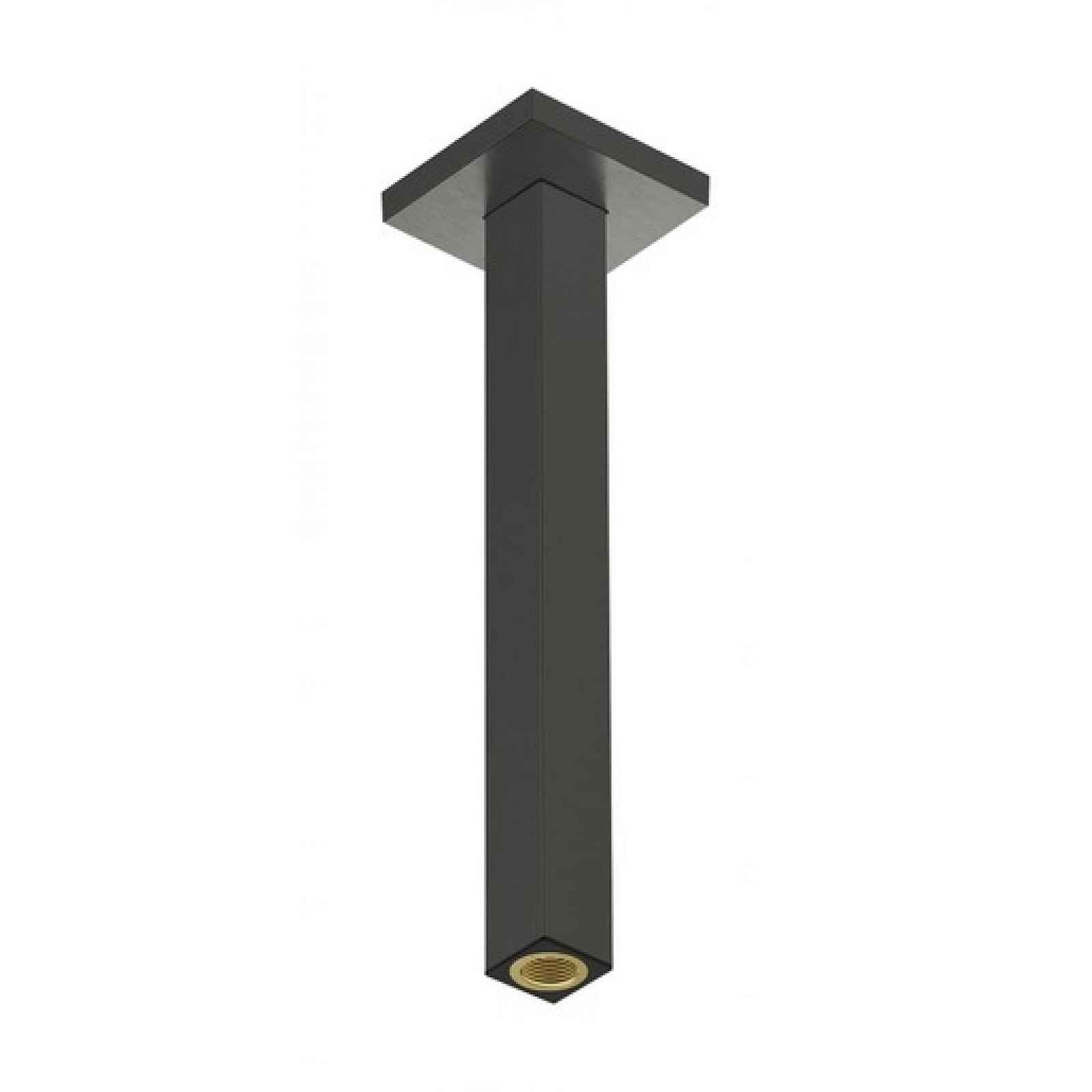 Sprchové rameno Hansgrohe kartáčovaný černý chrom 24339340